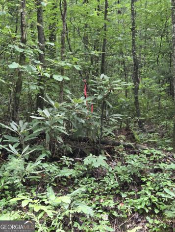 0 Chopped Oak Ellijay GA 30540