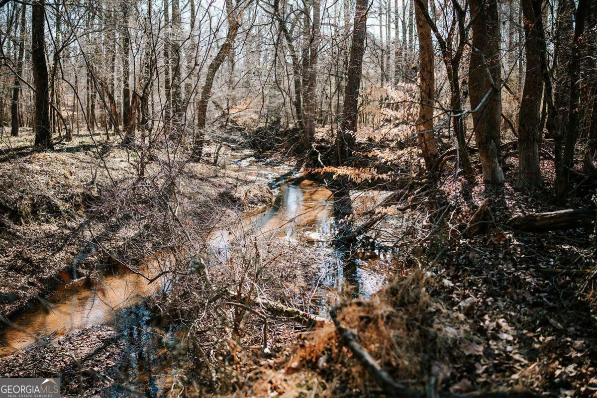 0 Lovers Lane Stephens GA 30667