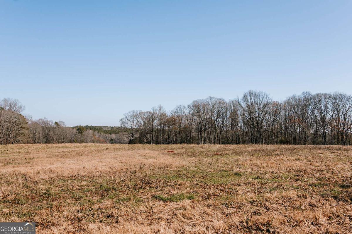 0 Lovers Lane Stephens GA 30667