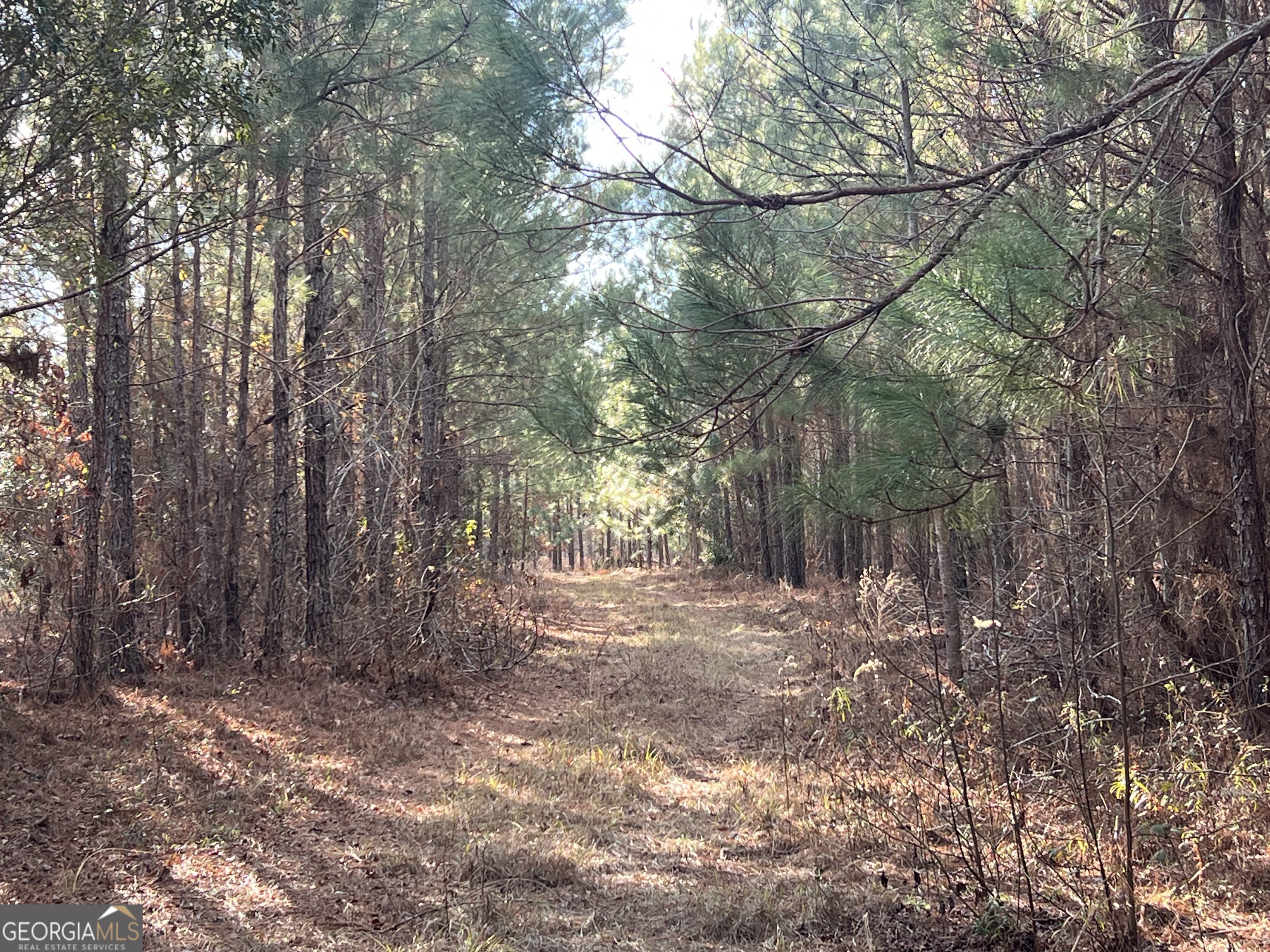 0 Thomas Road Millen GA 30442