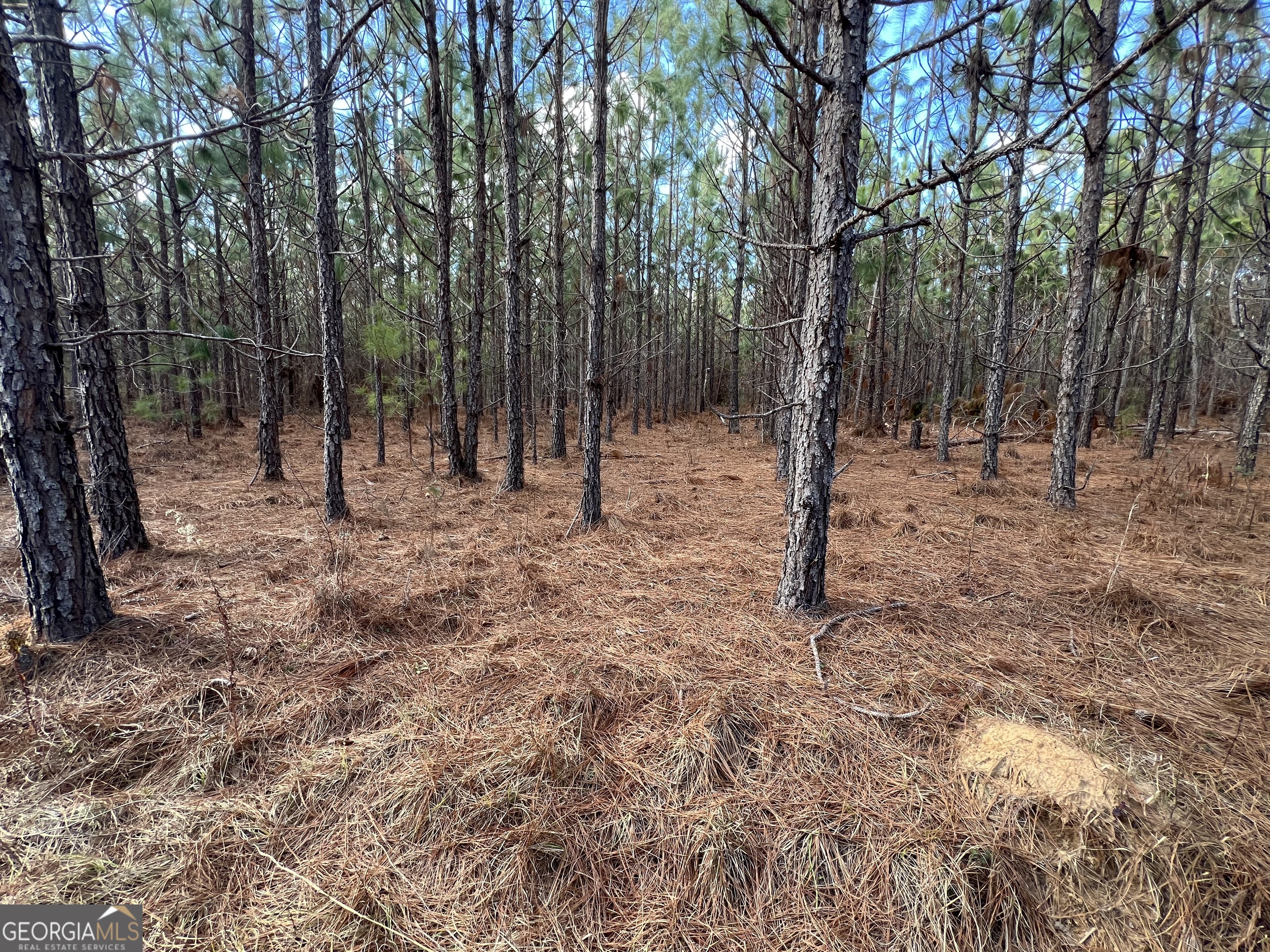 0 Thomas Road Millen GA 30442