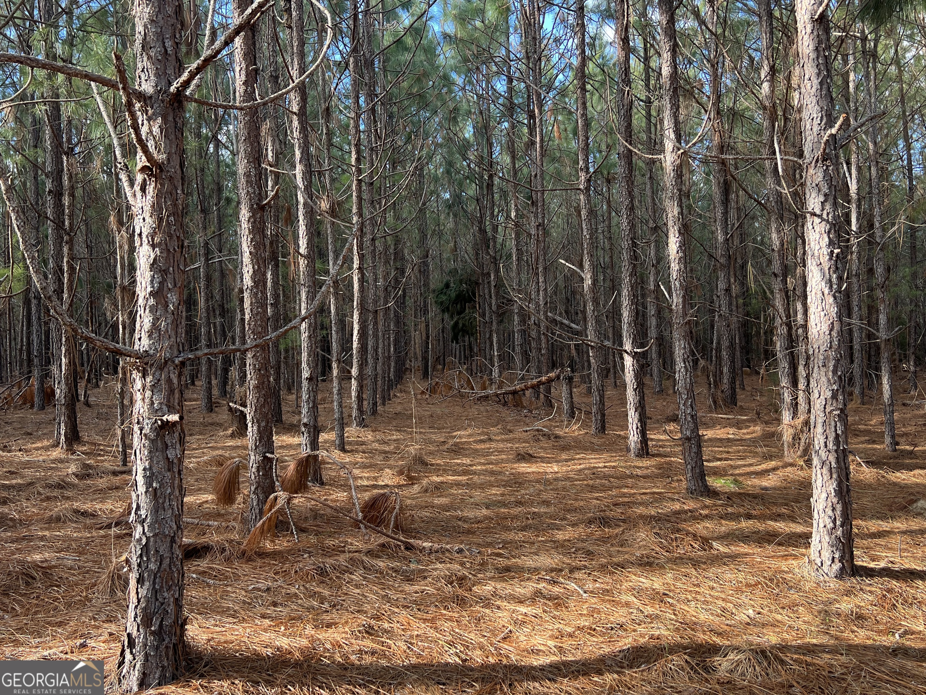 0 Thomas Road Millen GA 30442