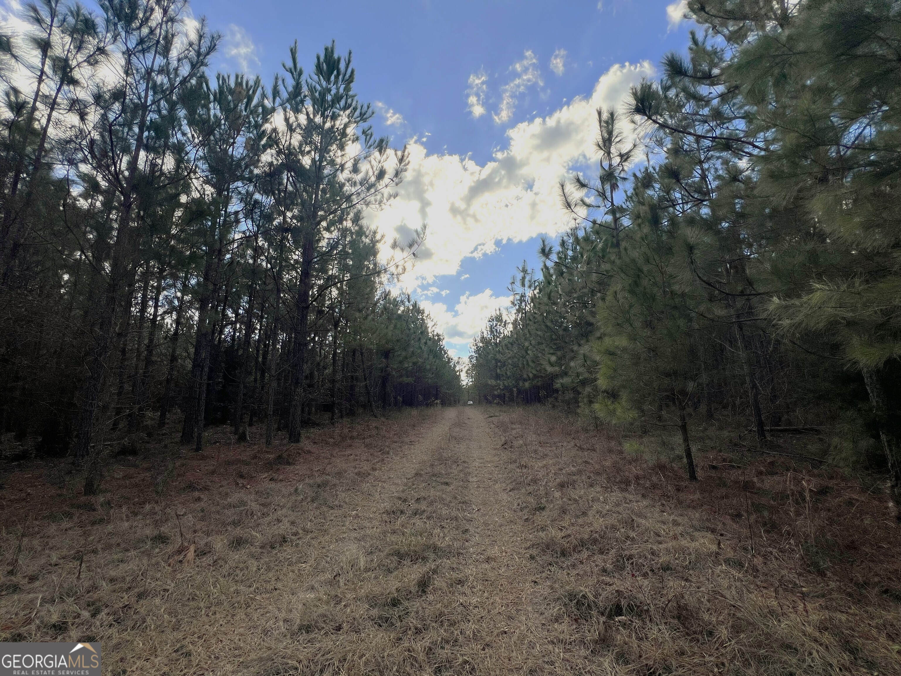 0 Thomas Road Millen GA 30442