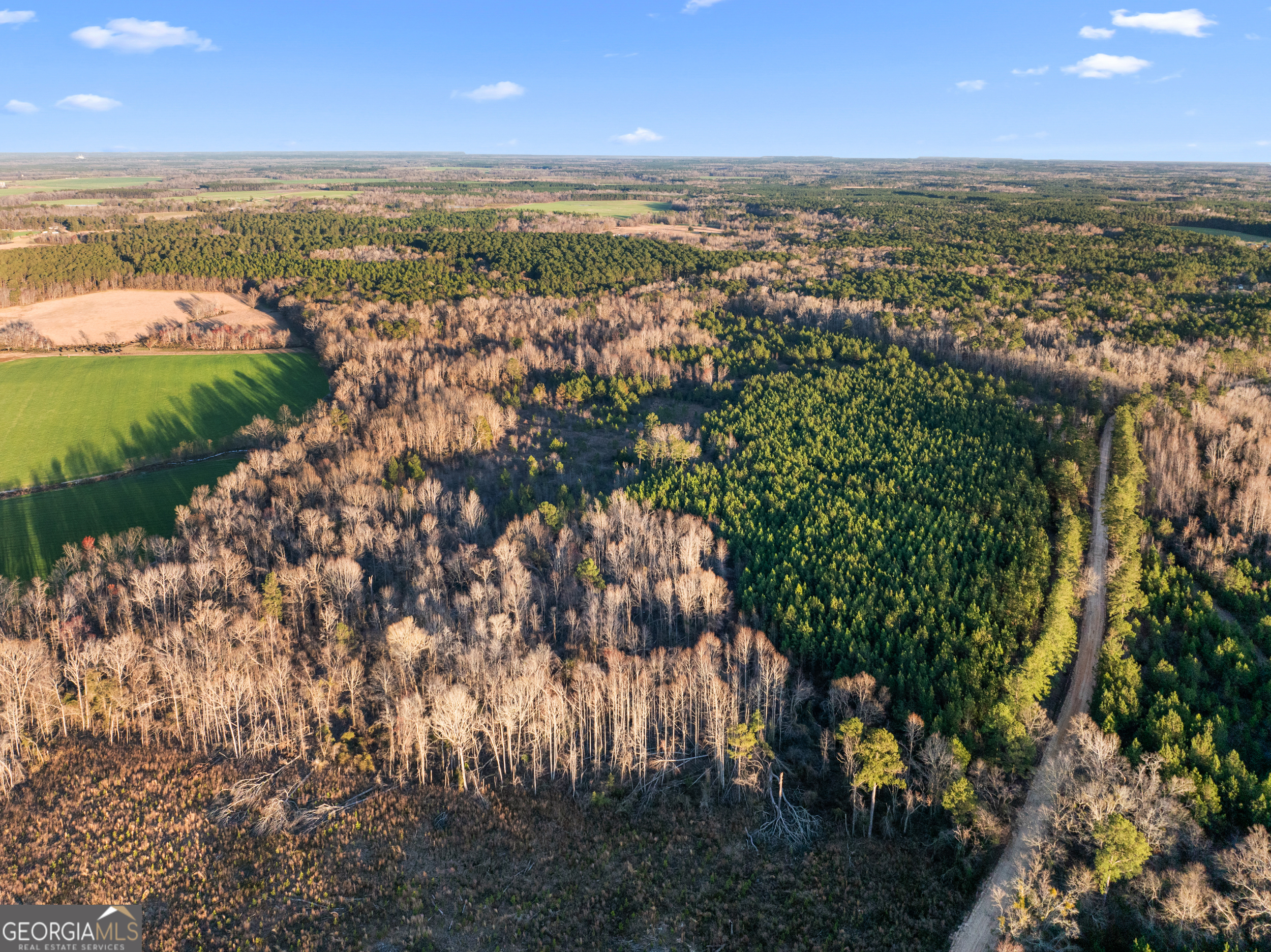 0 Thomas Road Millen GA 30442