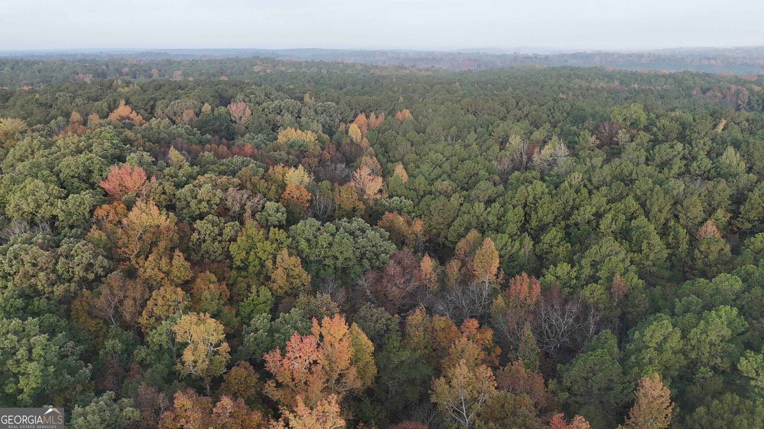 Tract 2 Dennis Creek Road Talbotton GA 31827