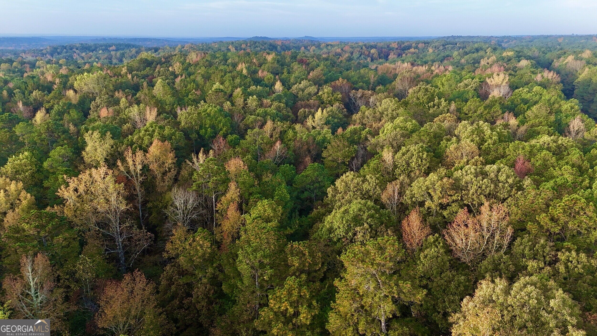 Tract 2 Dennis Creek Road Talbotton GA 31827