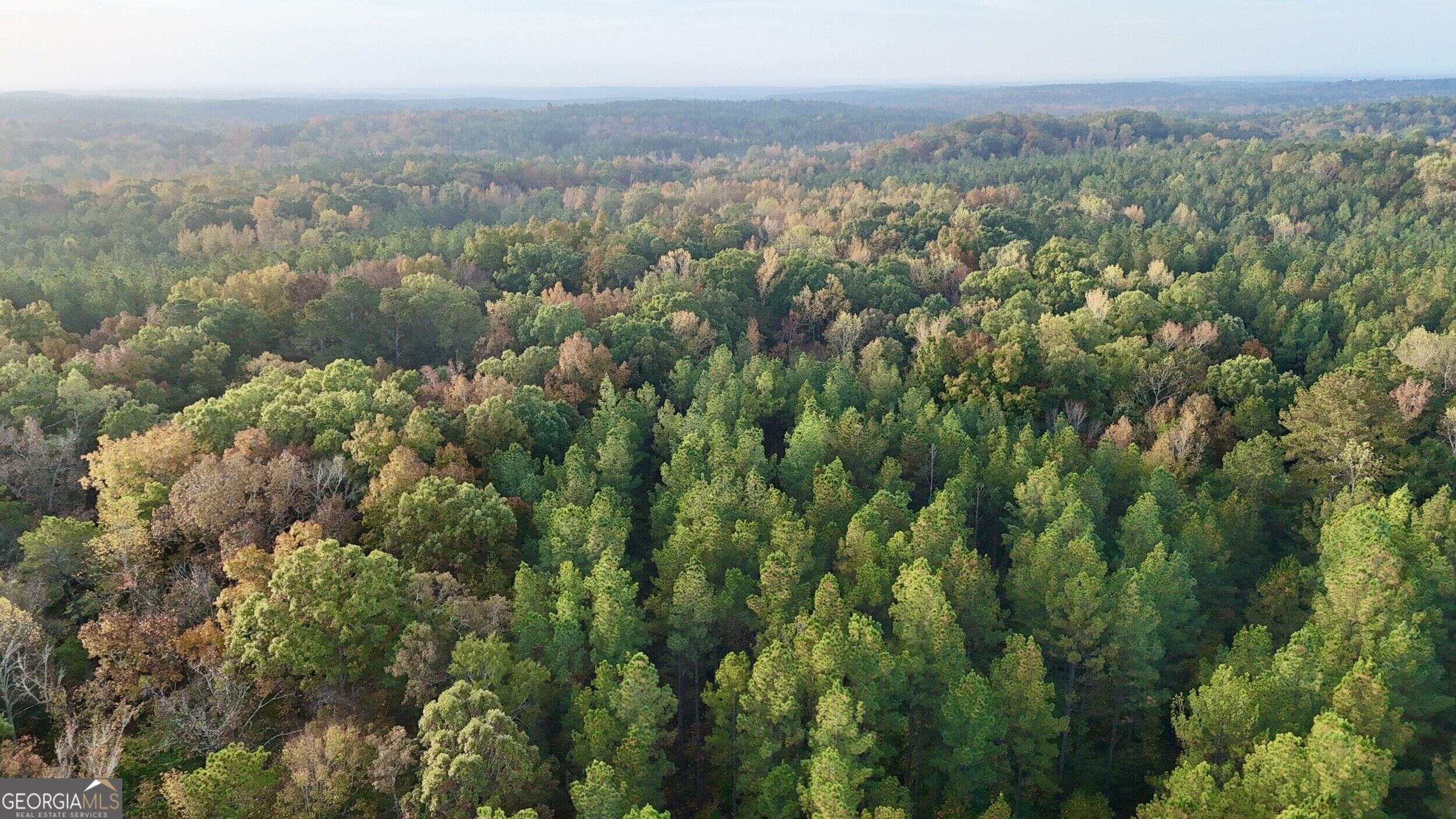 Tract 2 Dennis Creek Road Talbotton GA 31827