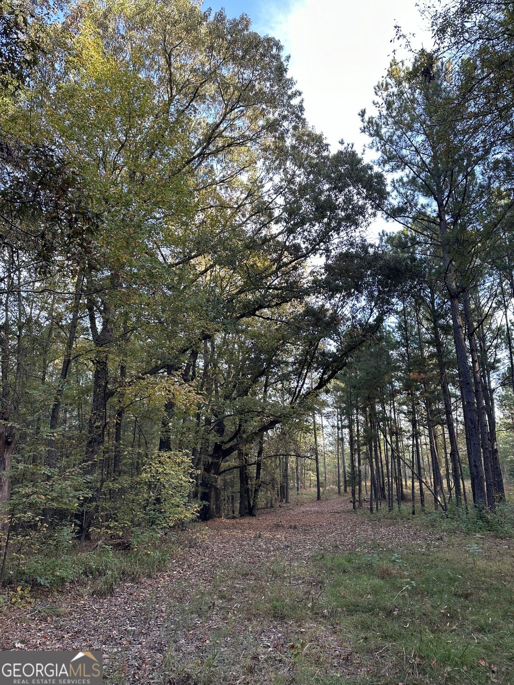 Tract 2 Dennis Creek Road Talbotton GA 31827