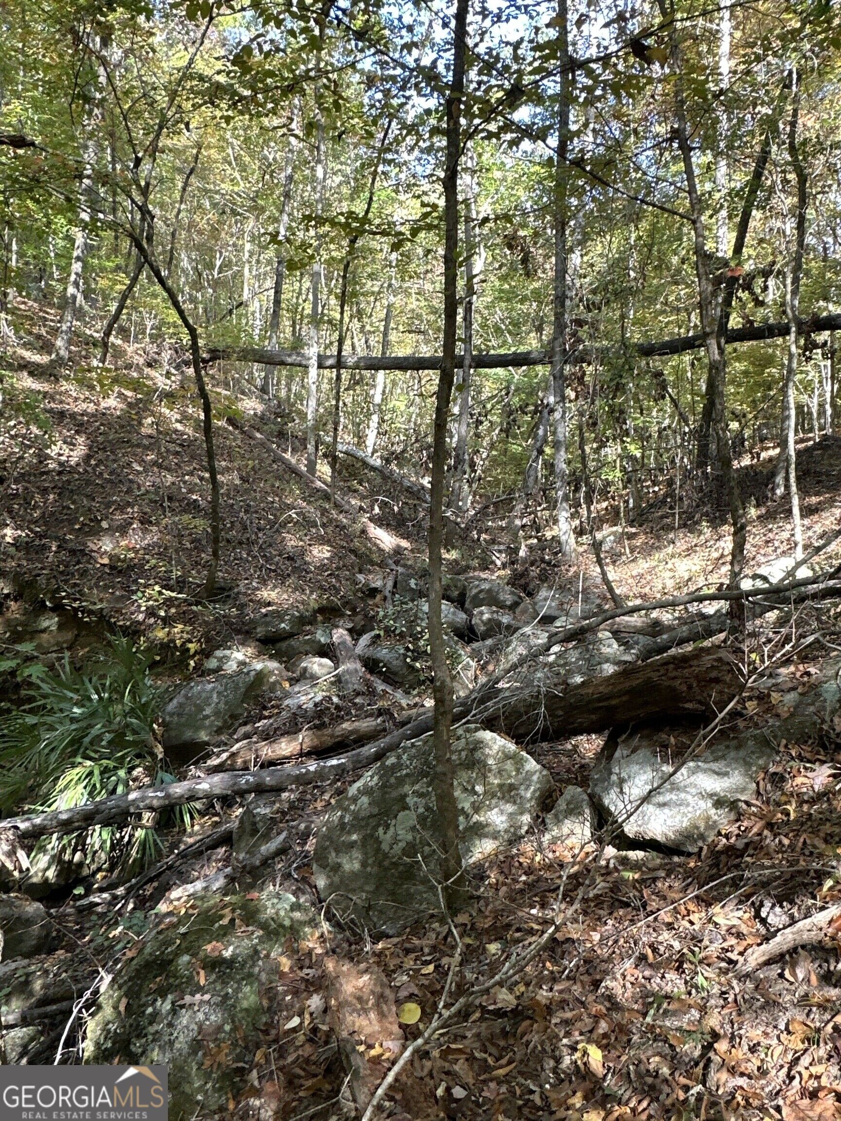 Tract 2 Dennis Creek Road Talbotton GA 31827