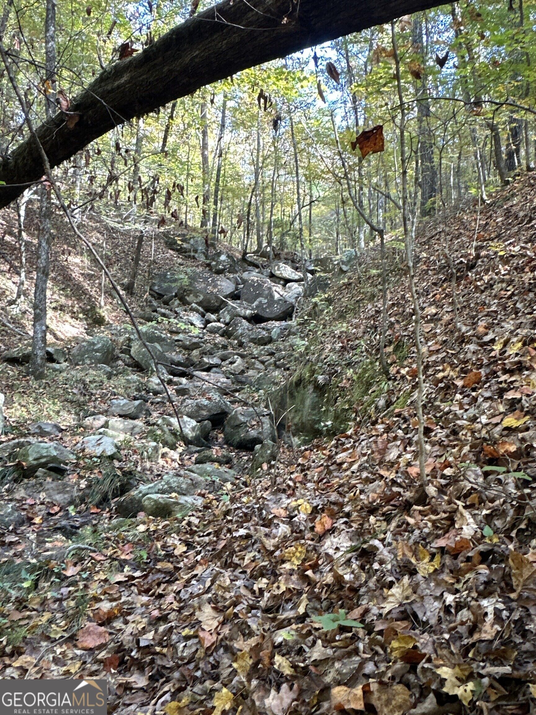 Tract 2 Dennis Creek Road Talbotton GA 31827