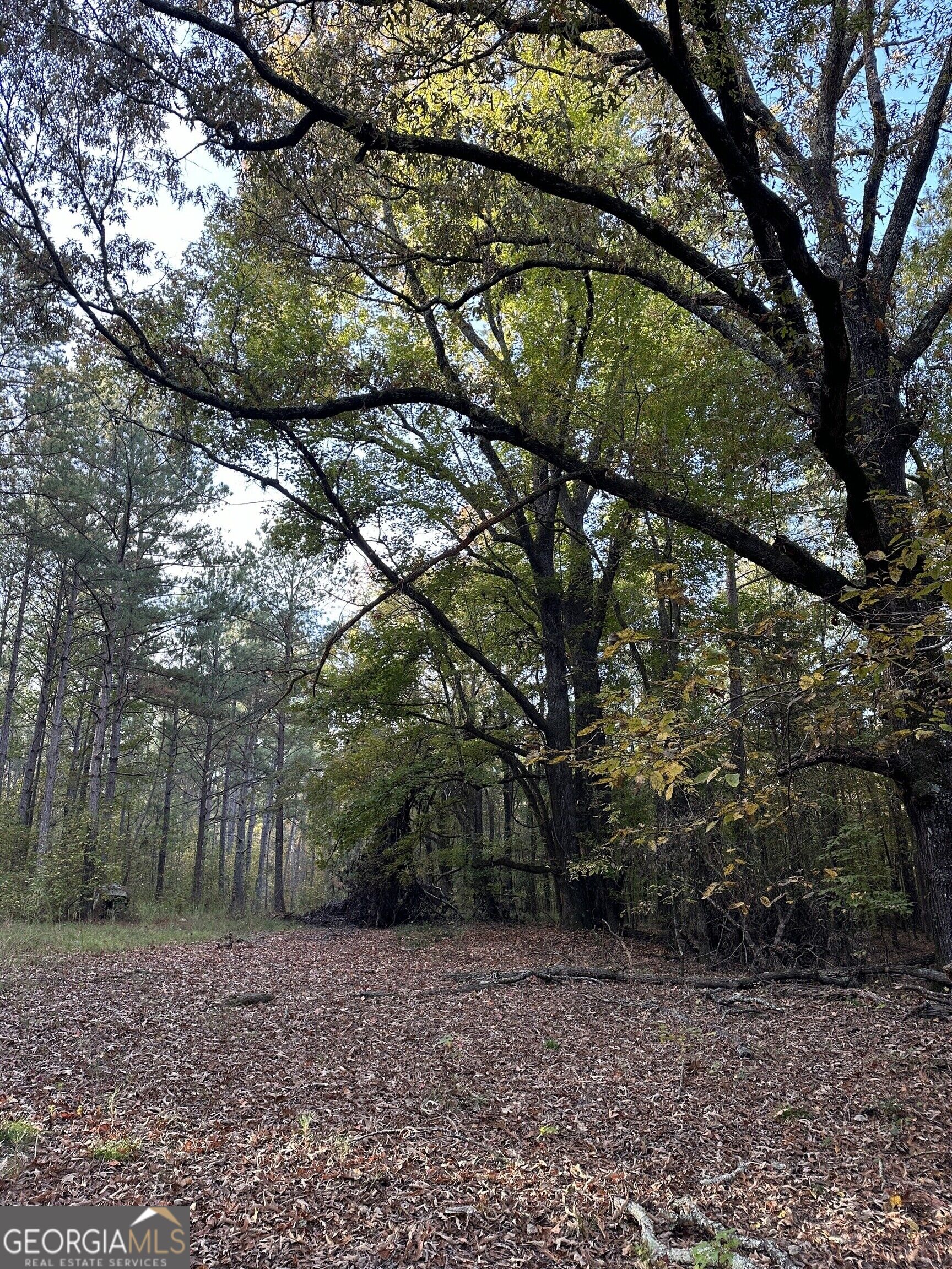 Tract 2 Dennis Creek Road Talbotton GA 31827