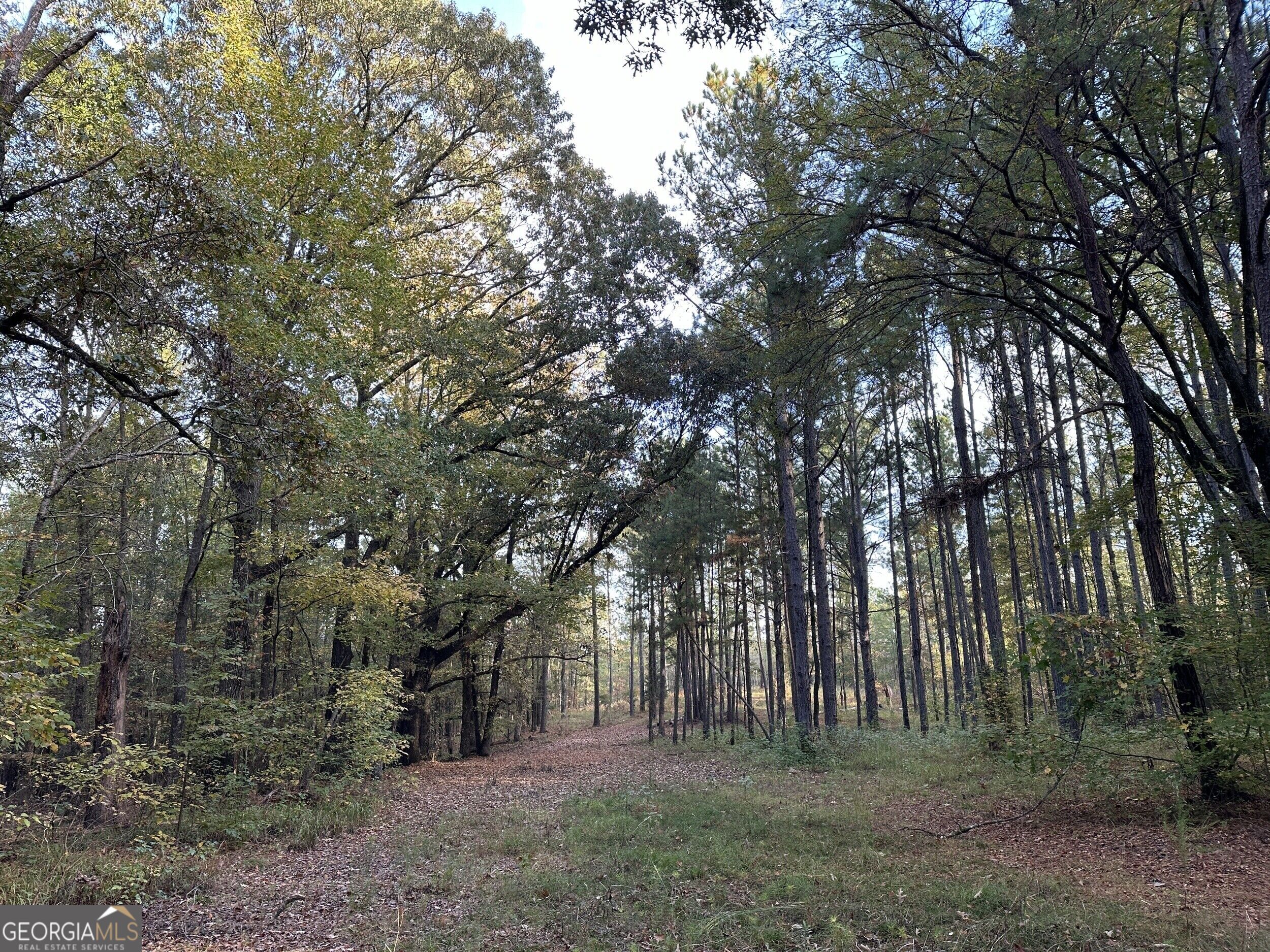Tract 2 Dennis Creek Road Talbotton GA 31827