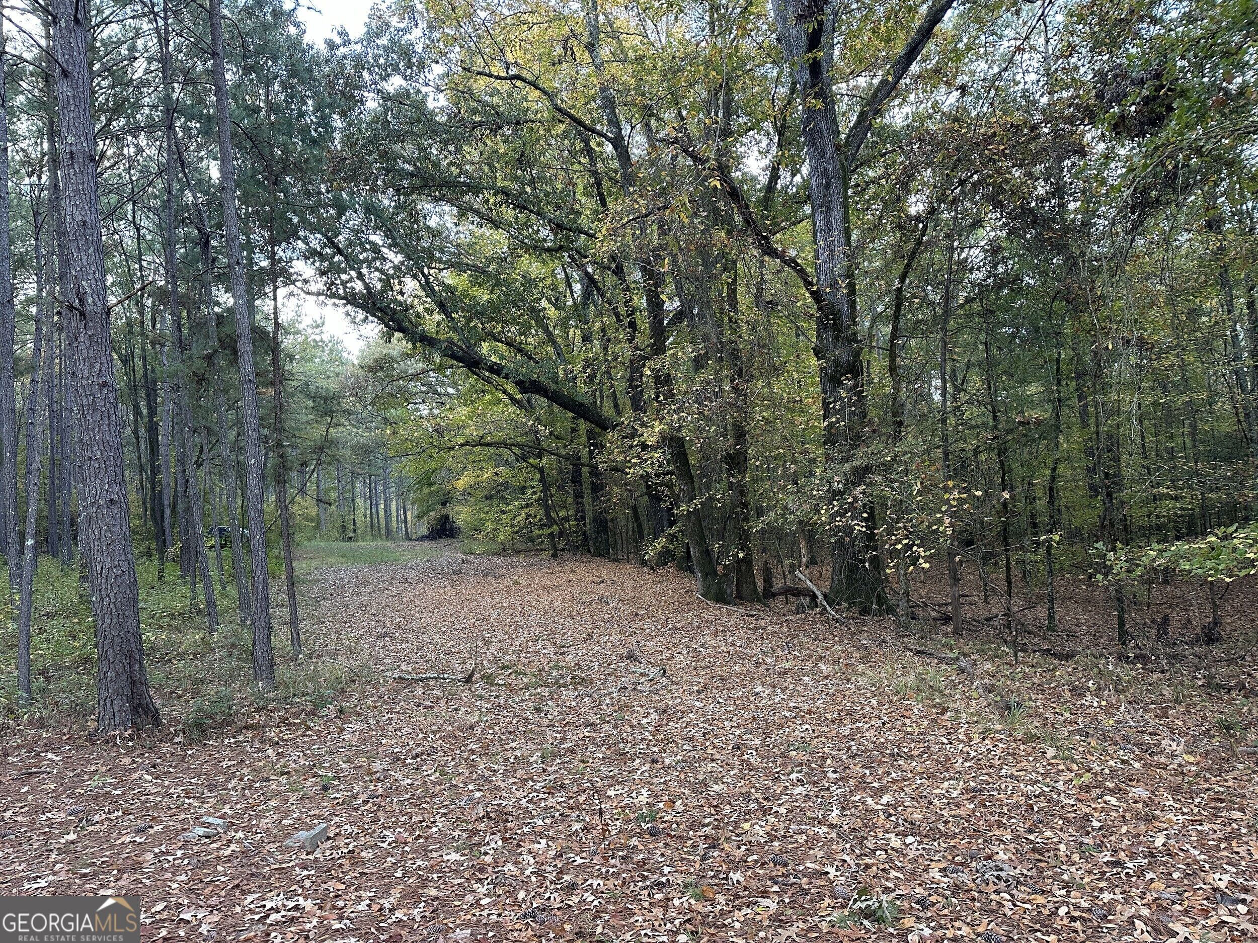 Tract 2 Dennis Creek Road Talbotton GA 31827