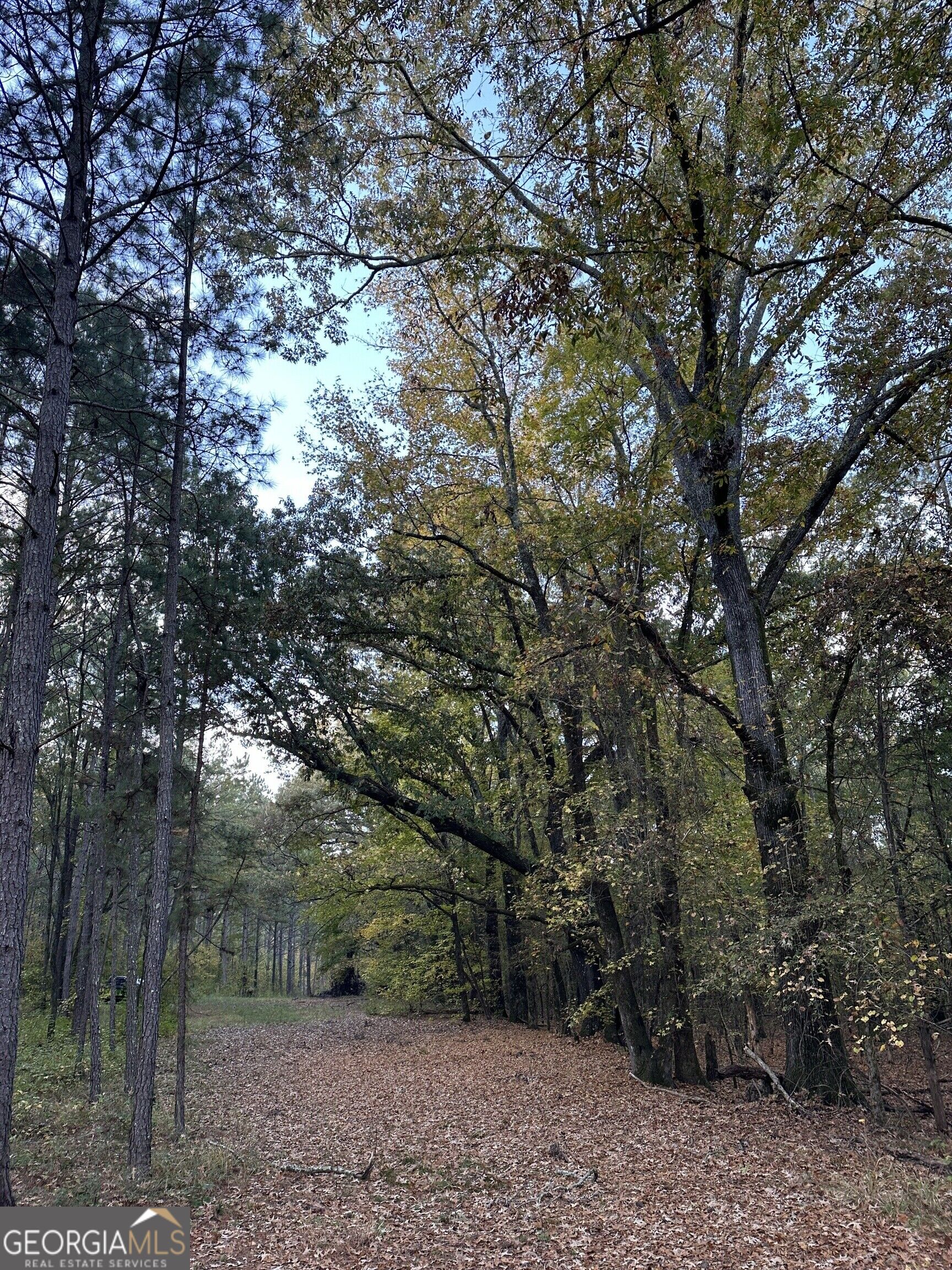 Tract 2 Dennis Creek Road Talbotton GA 31827