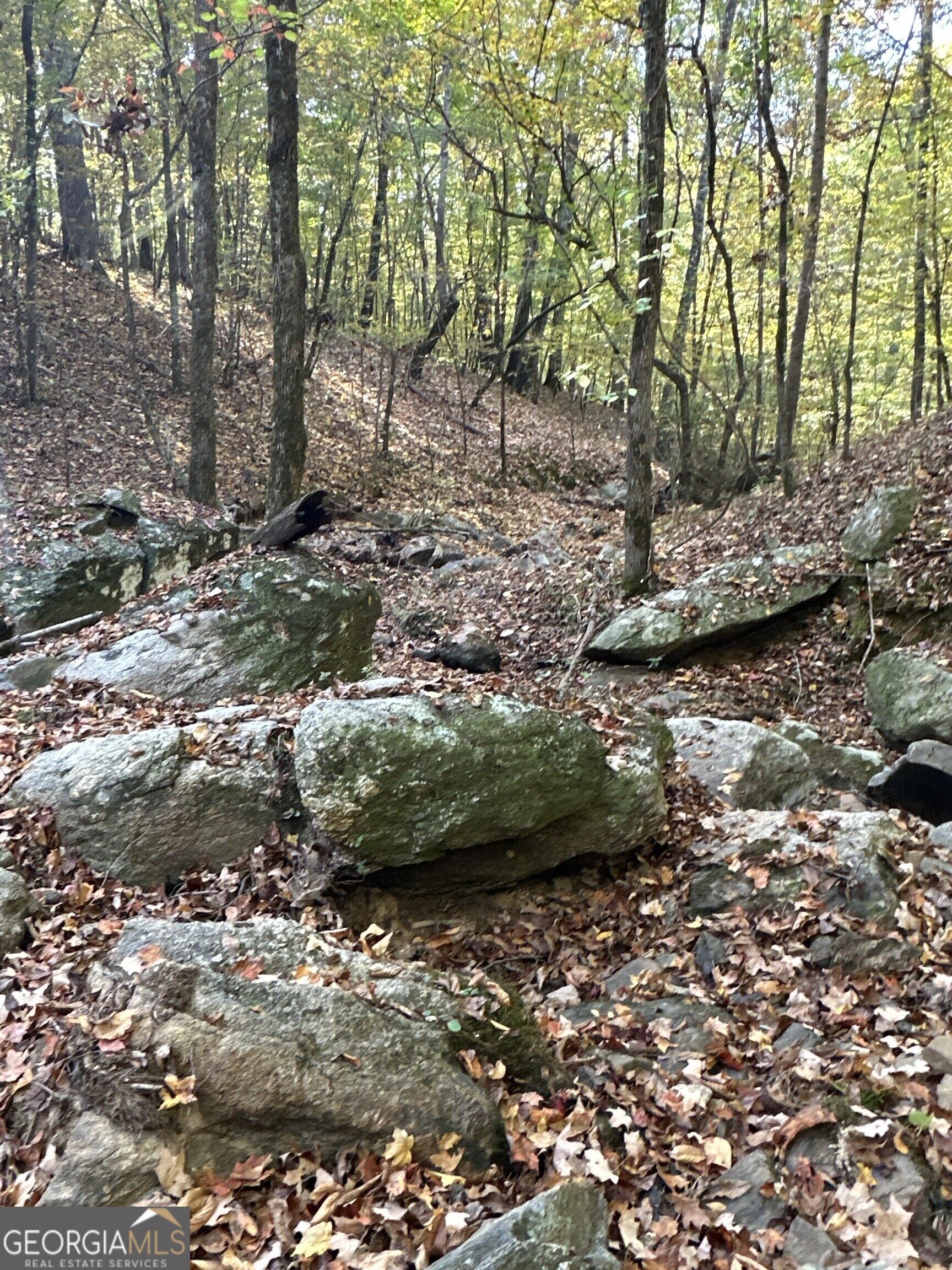 Tract 2 Dennis Creek Road Talbotton GA 31827
