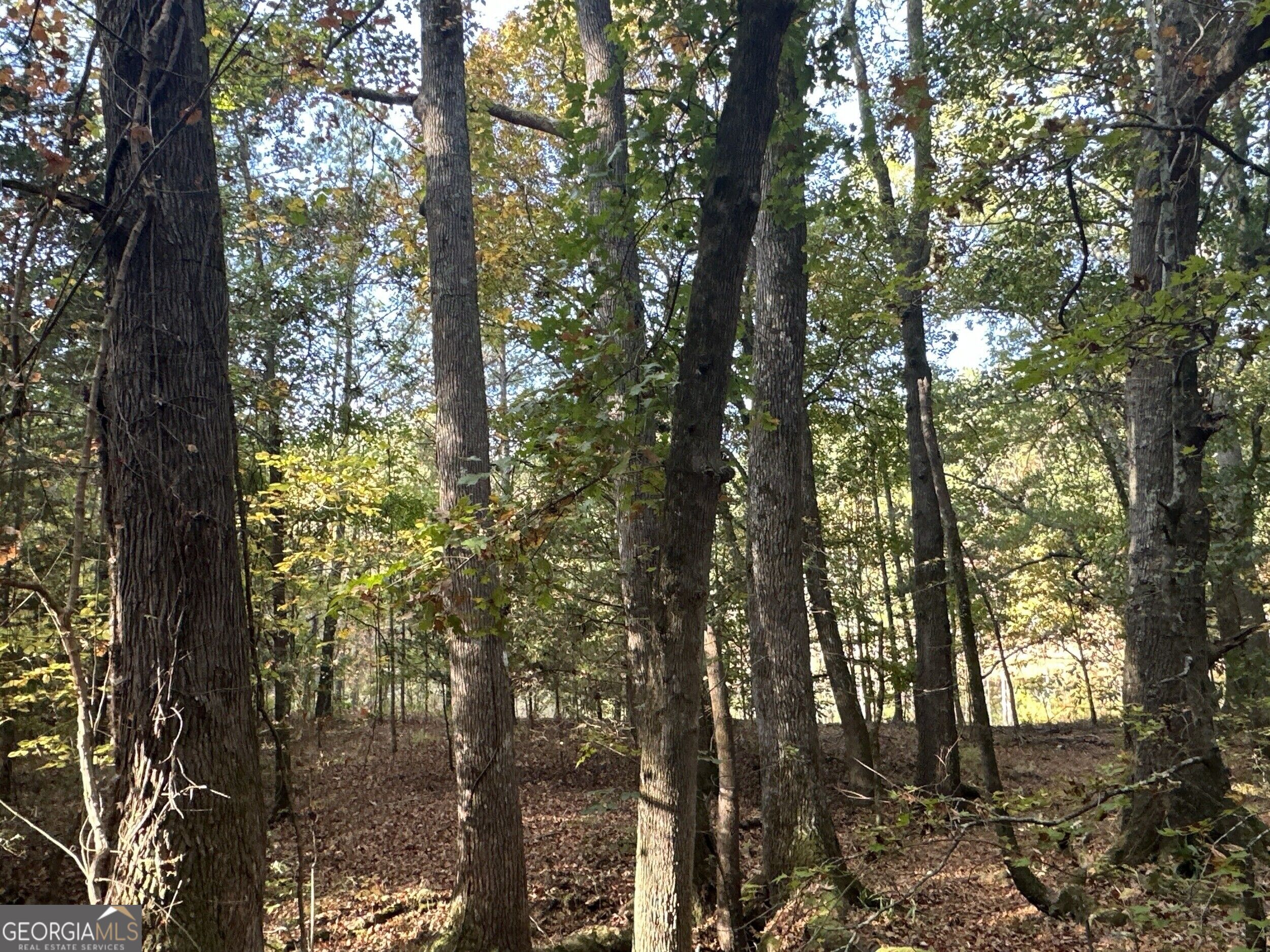 Tract 2 Dennis Creek Road Talbotton GA 31827