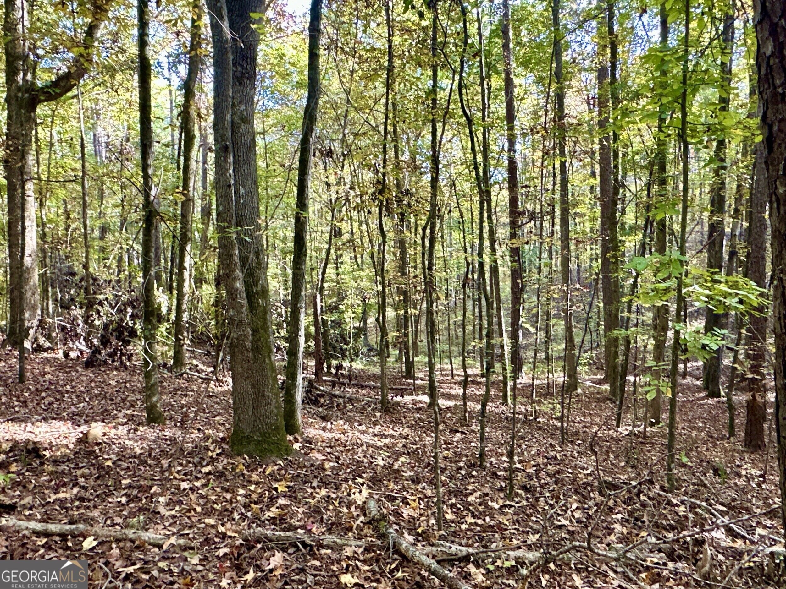 Tract 2 Dennis Creek Road Talbotton GA 31827