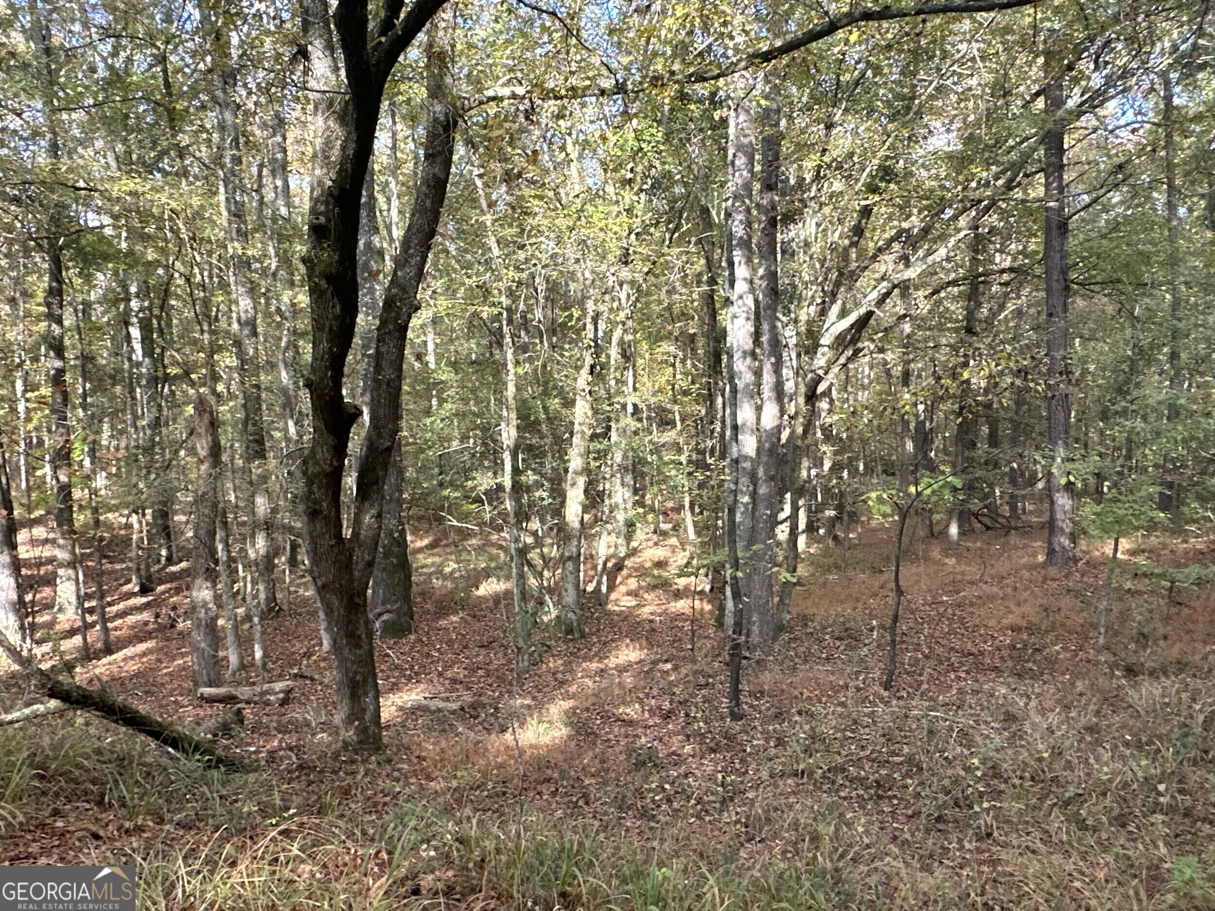Tract 2 Dennis Creek Road Talbotton GA 31827