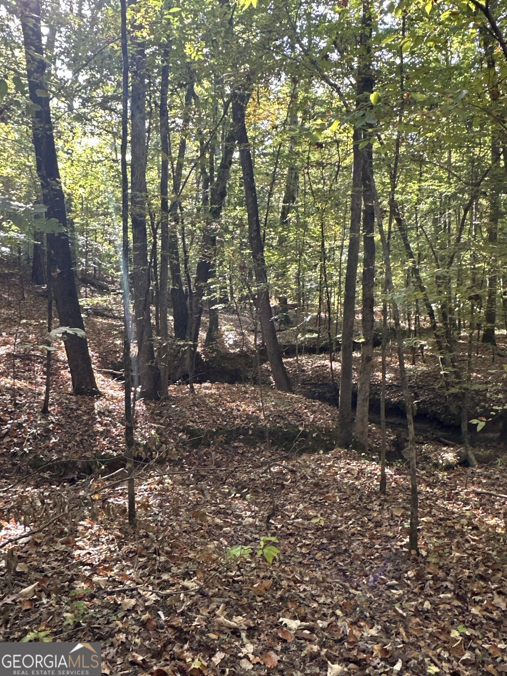 Tract 2 Dennis Creek Road Talbotton GA 31827