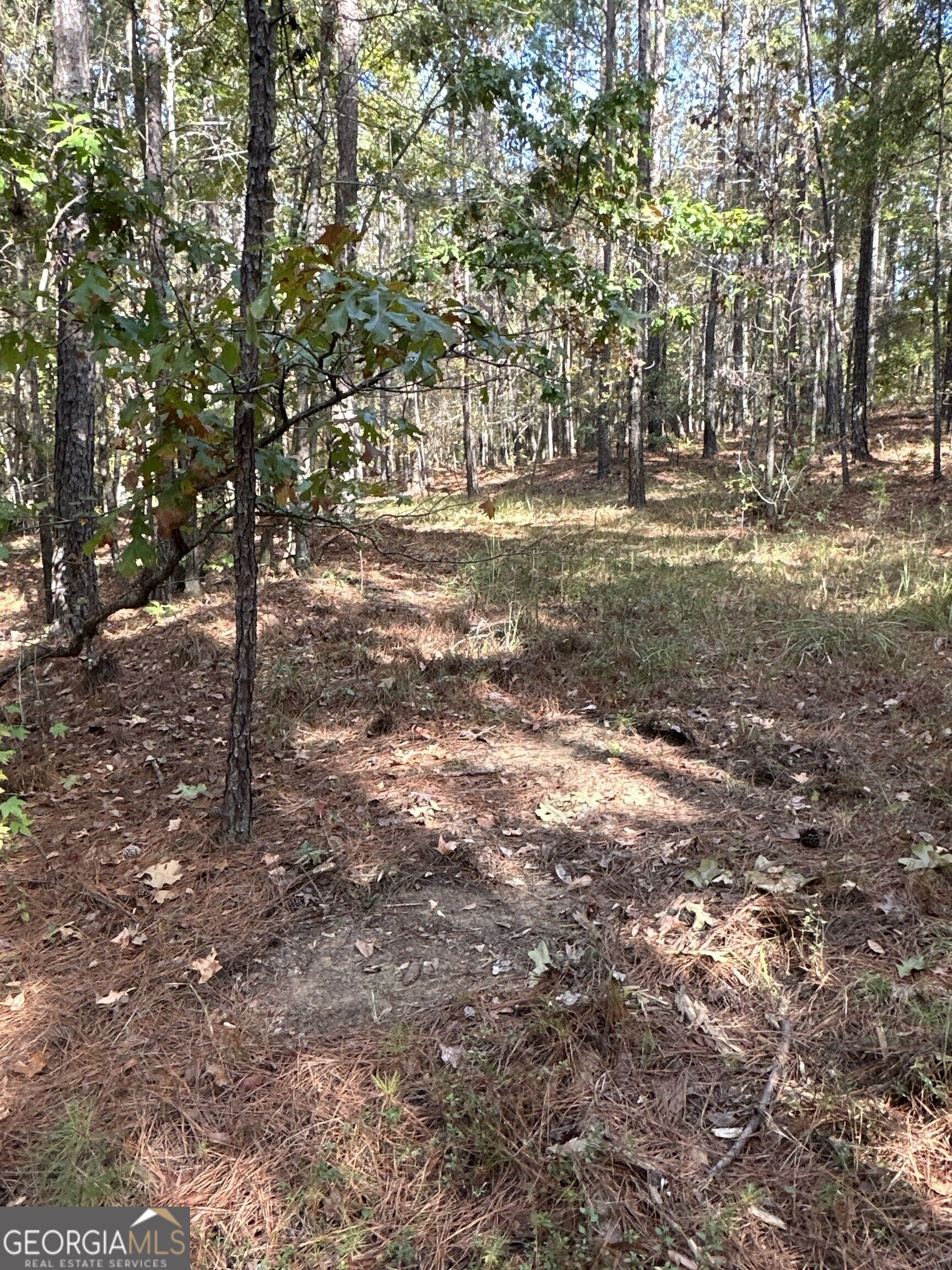 Tract 2 Dennis Creek Road Talbotton GA 31827