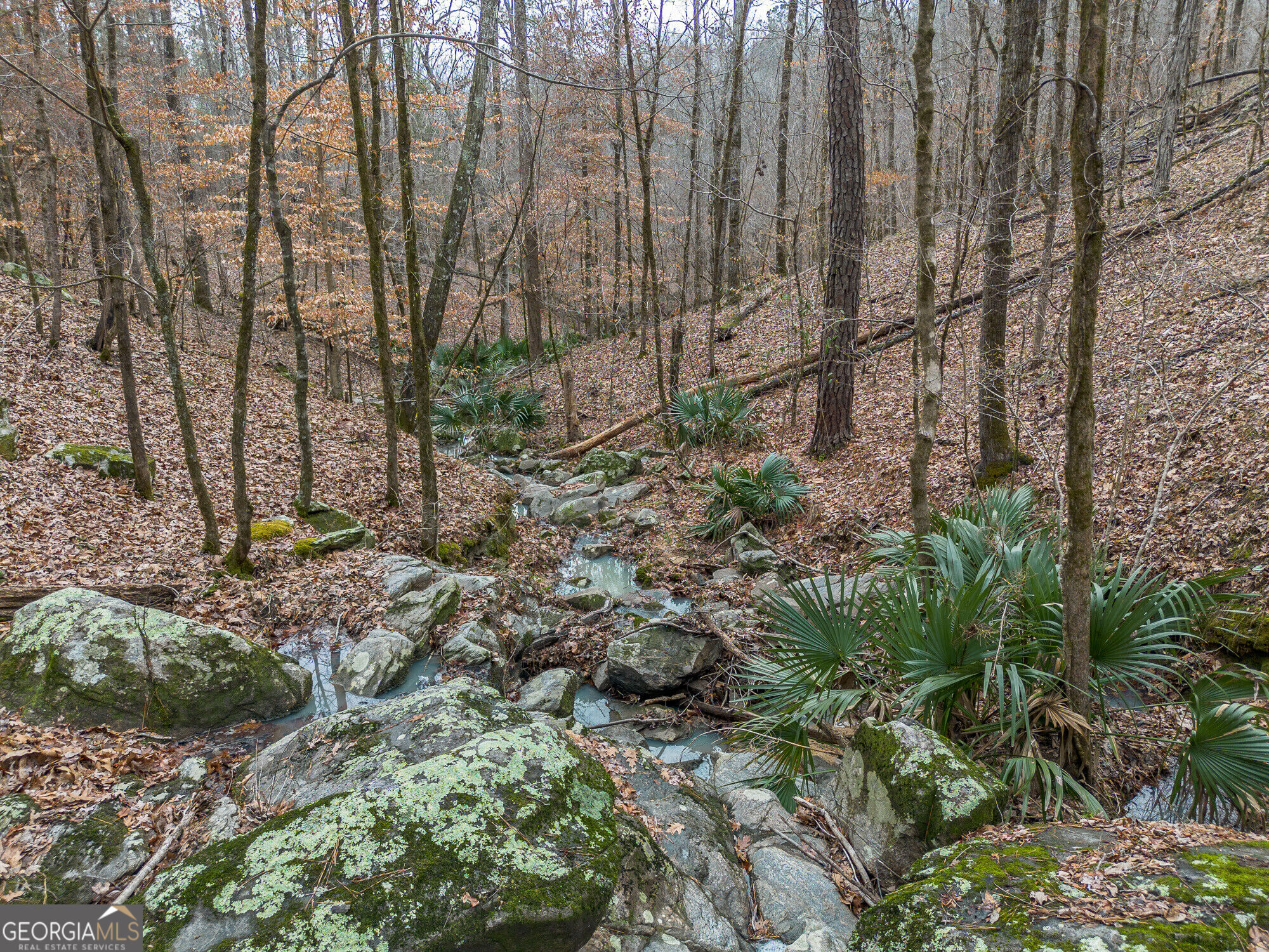 Tract 2 Dennis Creek Road Talbotton GA 31827
