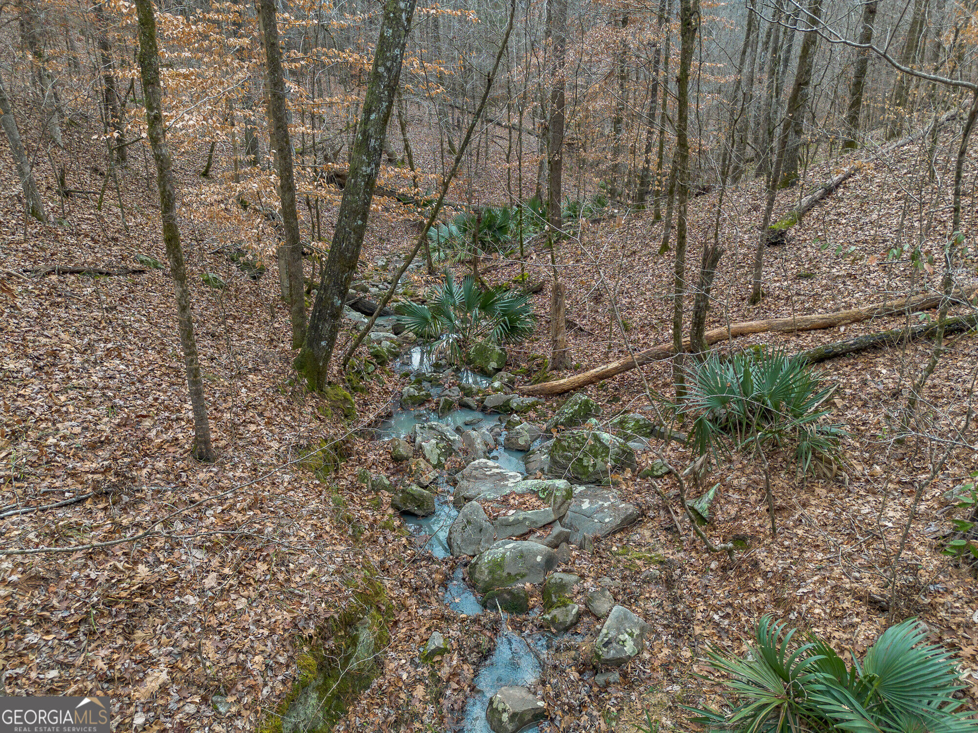 Tract 2 Dennis Creek Road Talbotton GA 31827