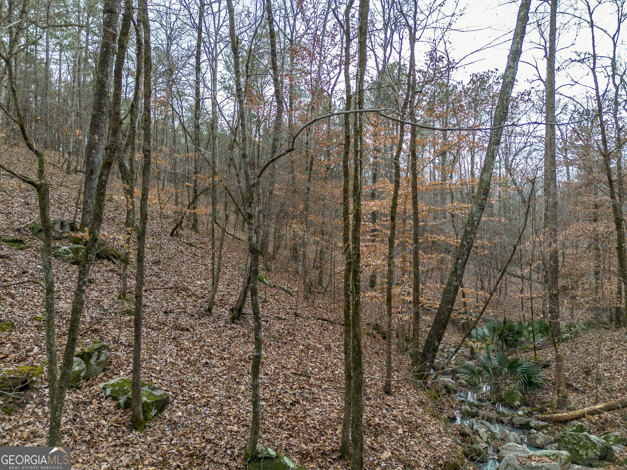 Tract 2 Dennis Creek Road Talbotton GA 31827