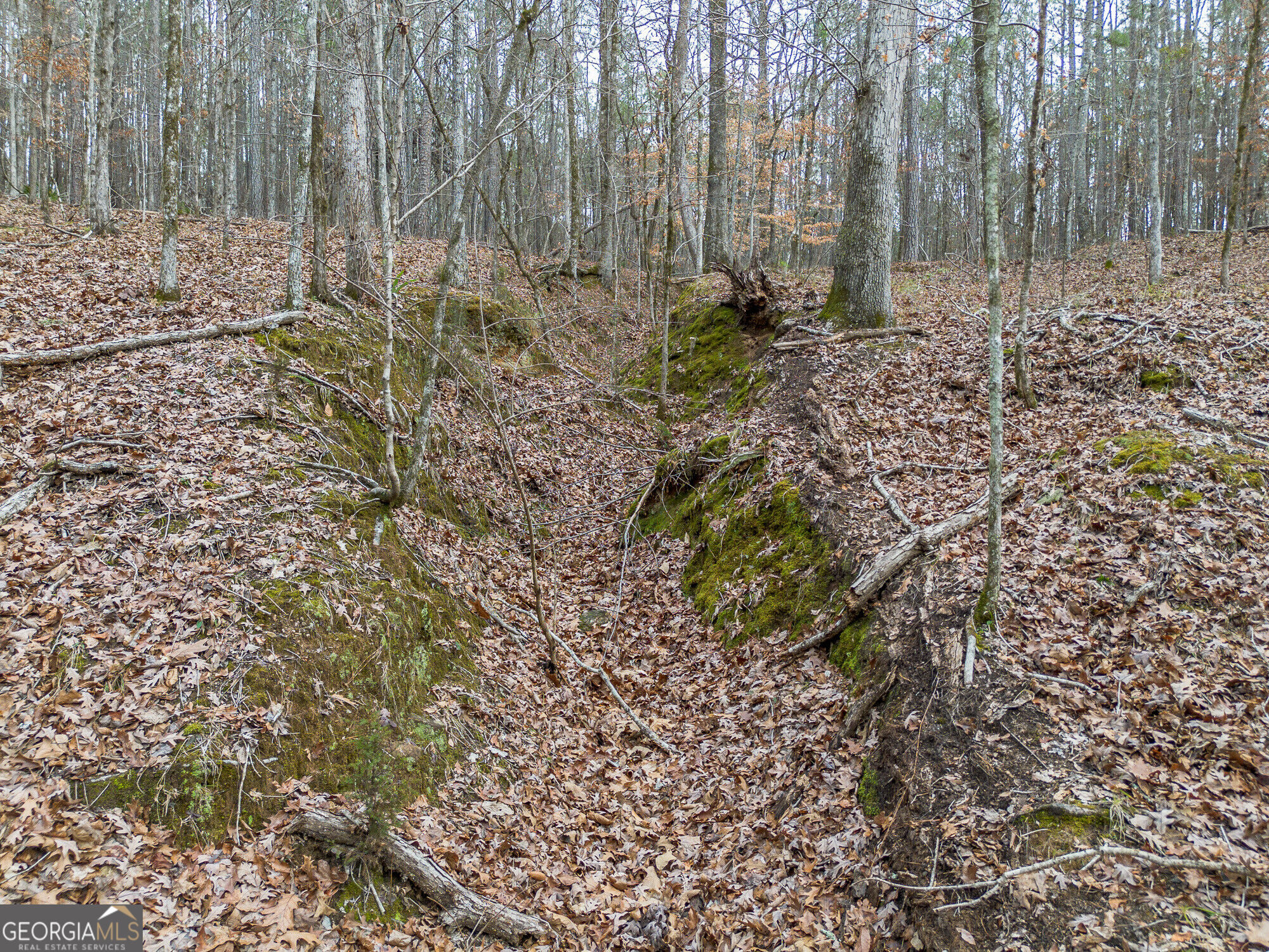Tract 2 Dennis Creek Road Talbotton GA 31827
