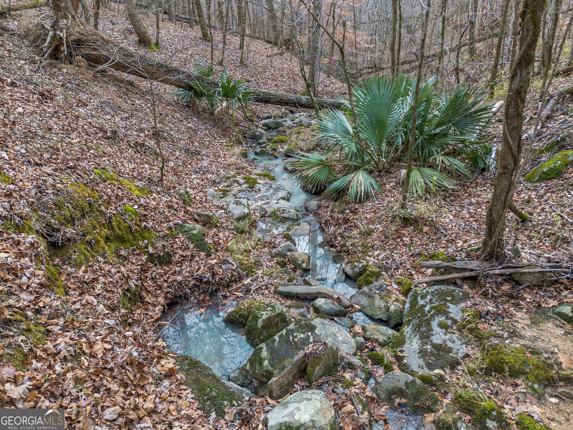 Tract 2 Dennis Creek Road Talbotton GA 31827
