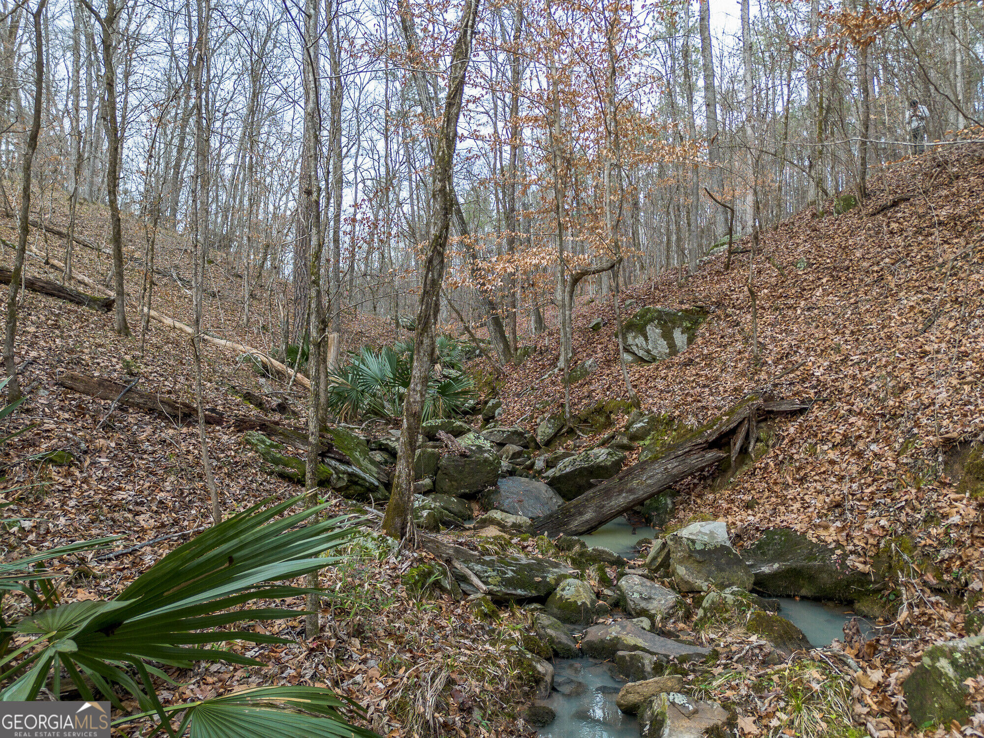 Tract 2 Dennis Creek Road Talbotton GA 31827