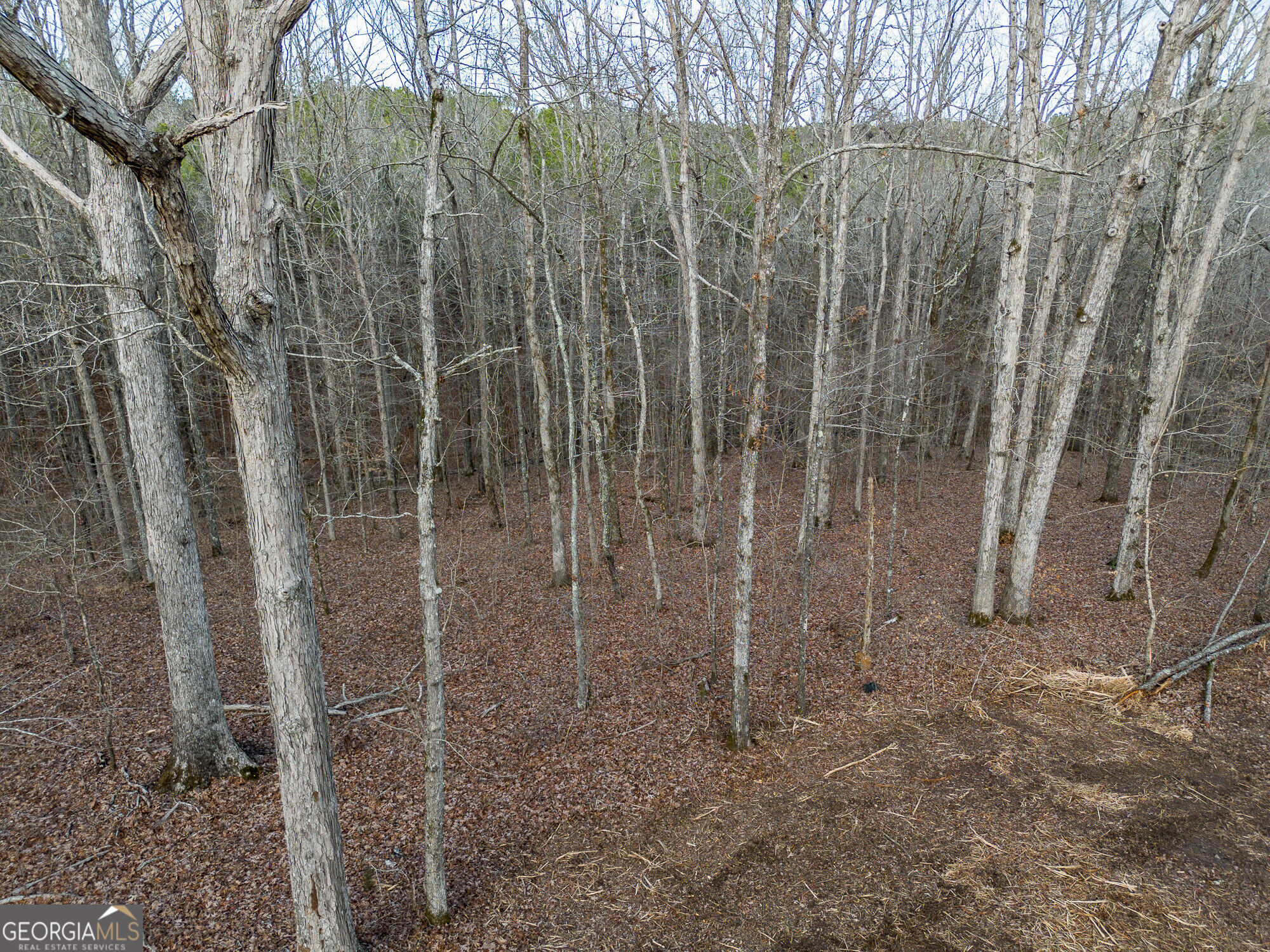 Tract 2 Dennis Creek Road Talbotton GA 31827