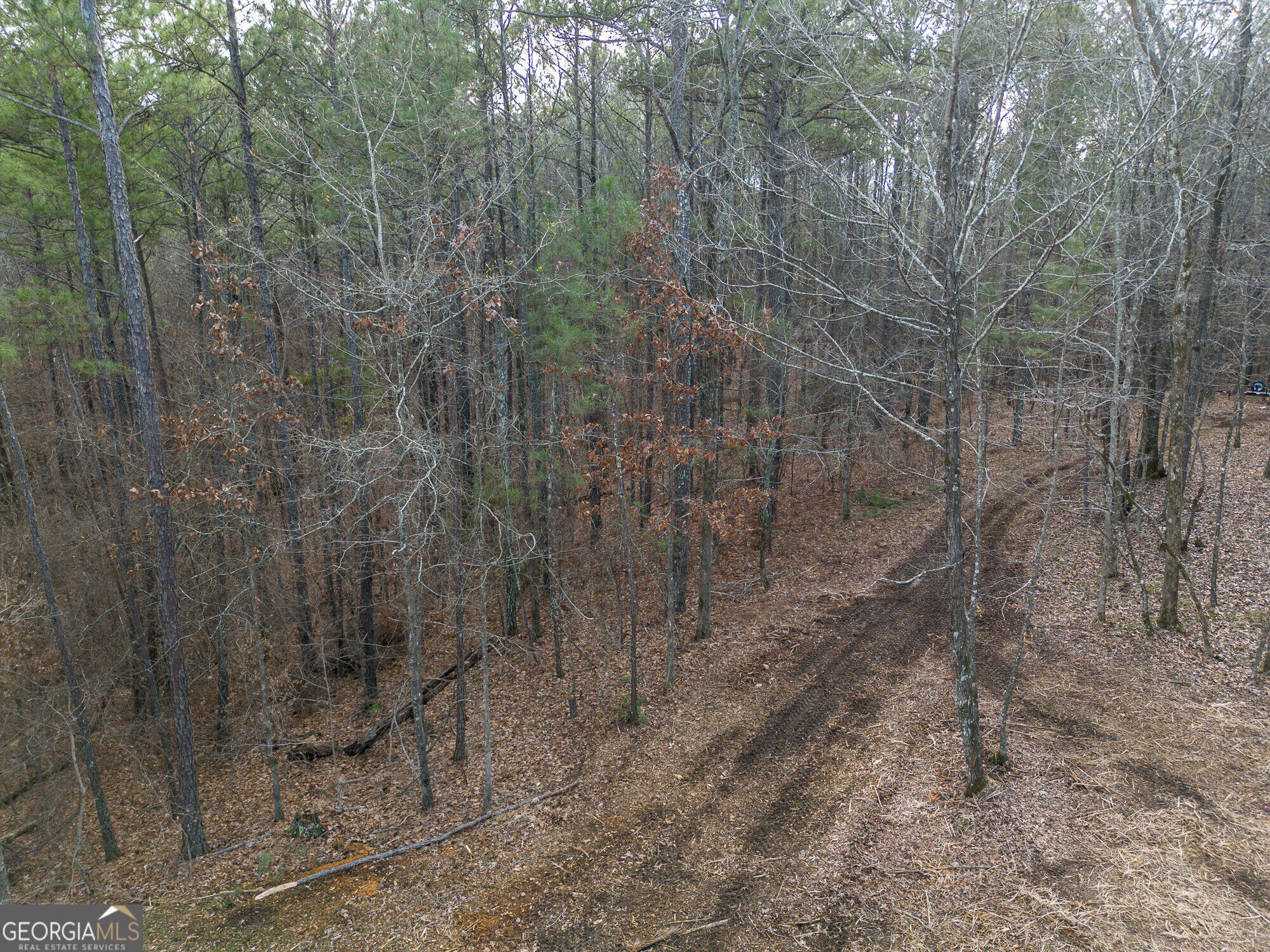 Tract 2 Dennis Creek Road Talbotton GA 31827