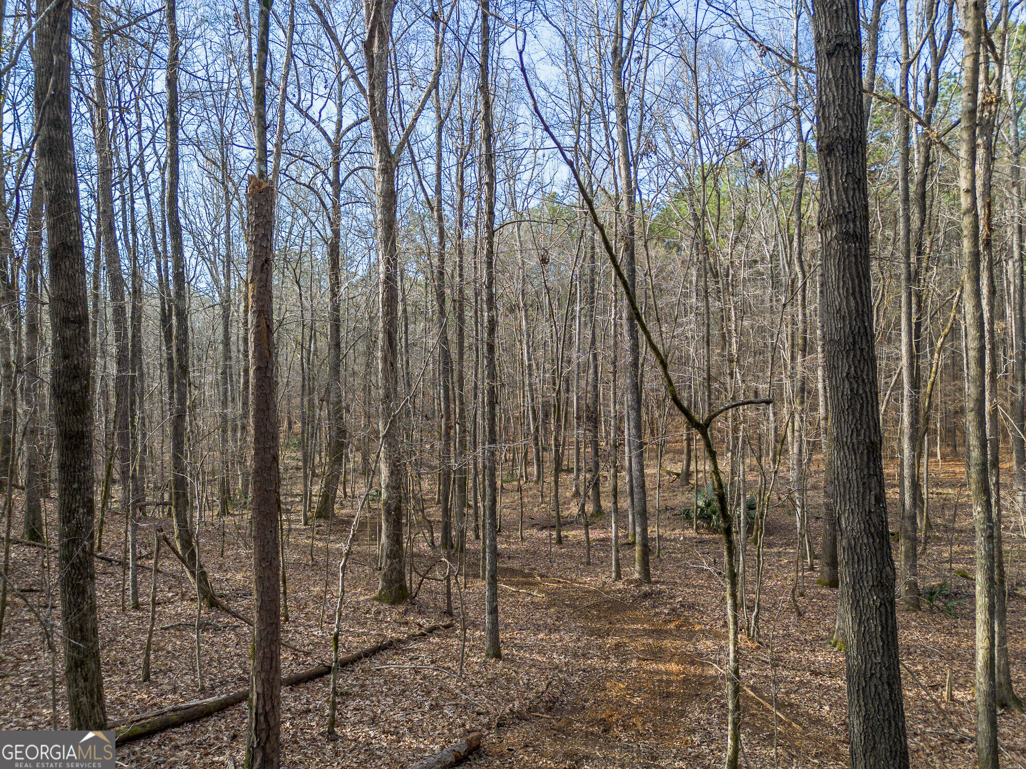 Tract 2 Dennis Creek Road Talbotton GA 31827