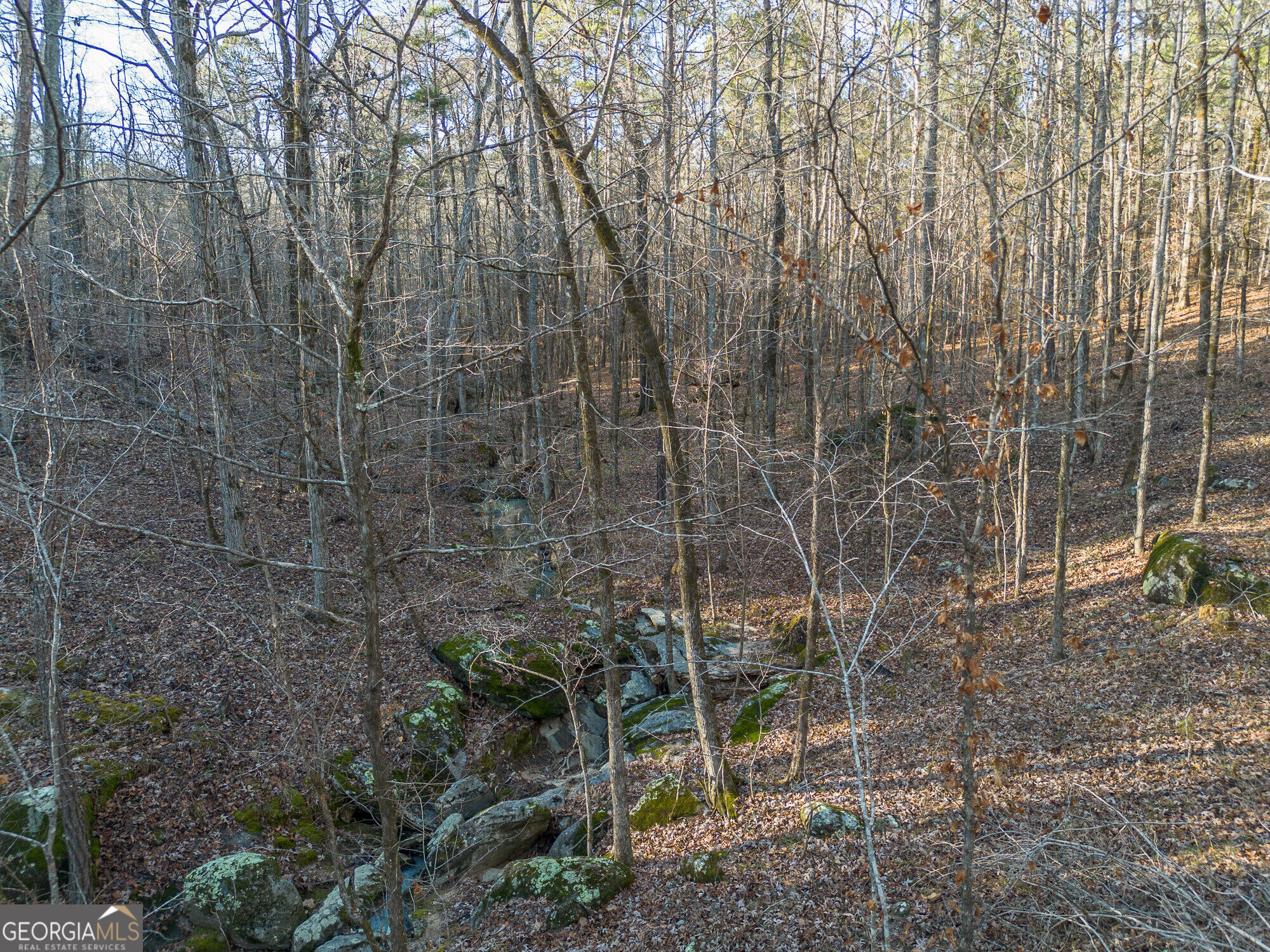 Tract 2 Dennis Creek Road Talbotton GA 31827