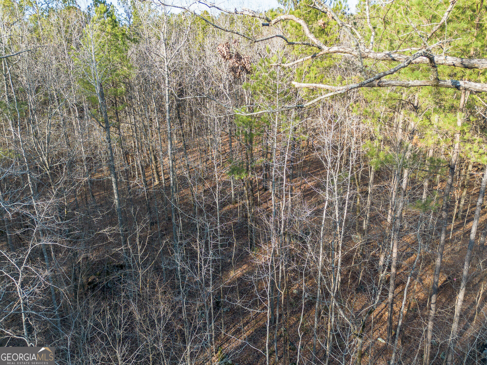 Tract 2 Dennis Creek Road Talbotton GA 31827