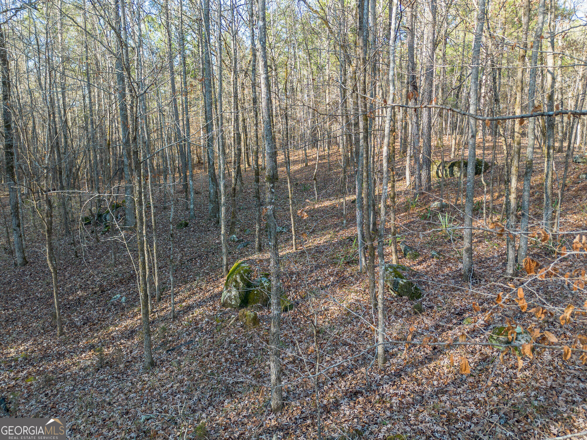 Tract 2 Dennis Creek Road Talbotton GA 31827