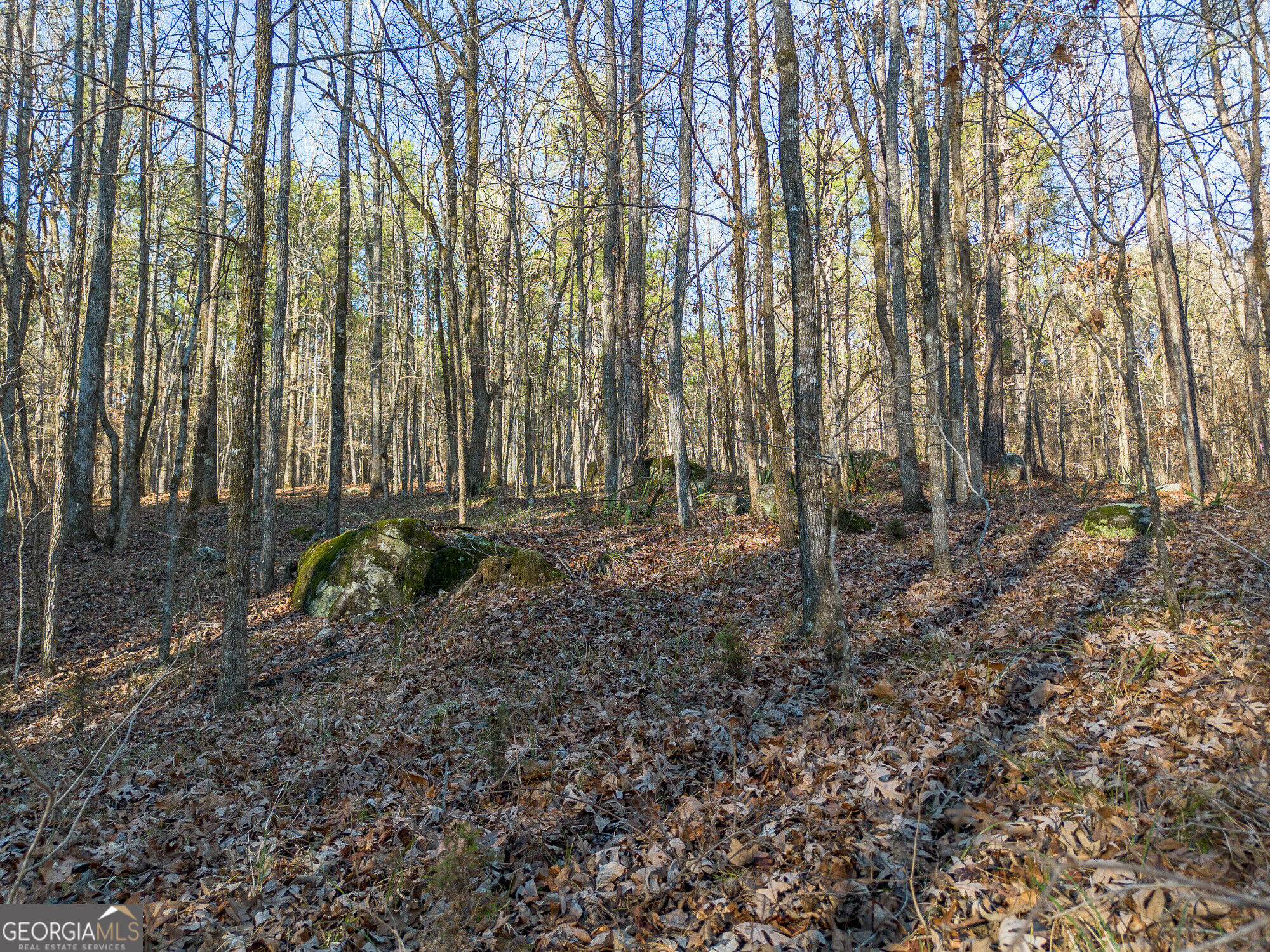 Tract 2 Dennis Creek Road Talbotton GA 31827