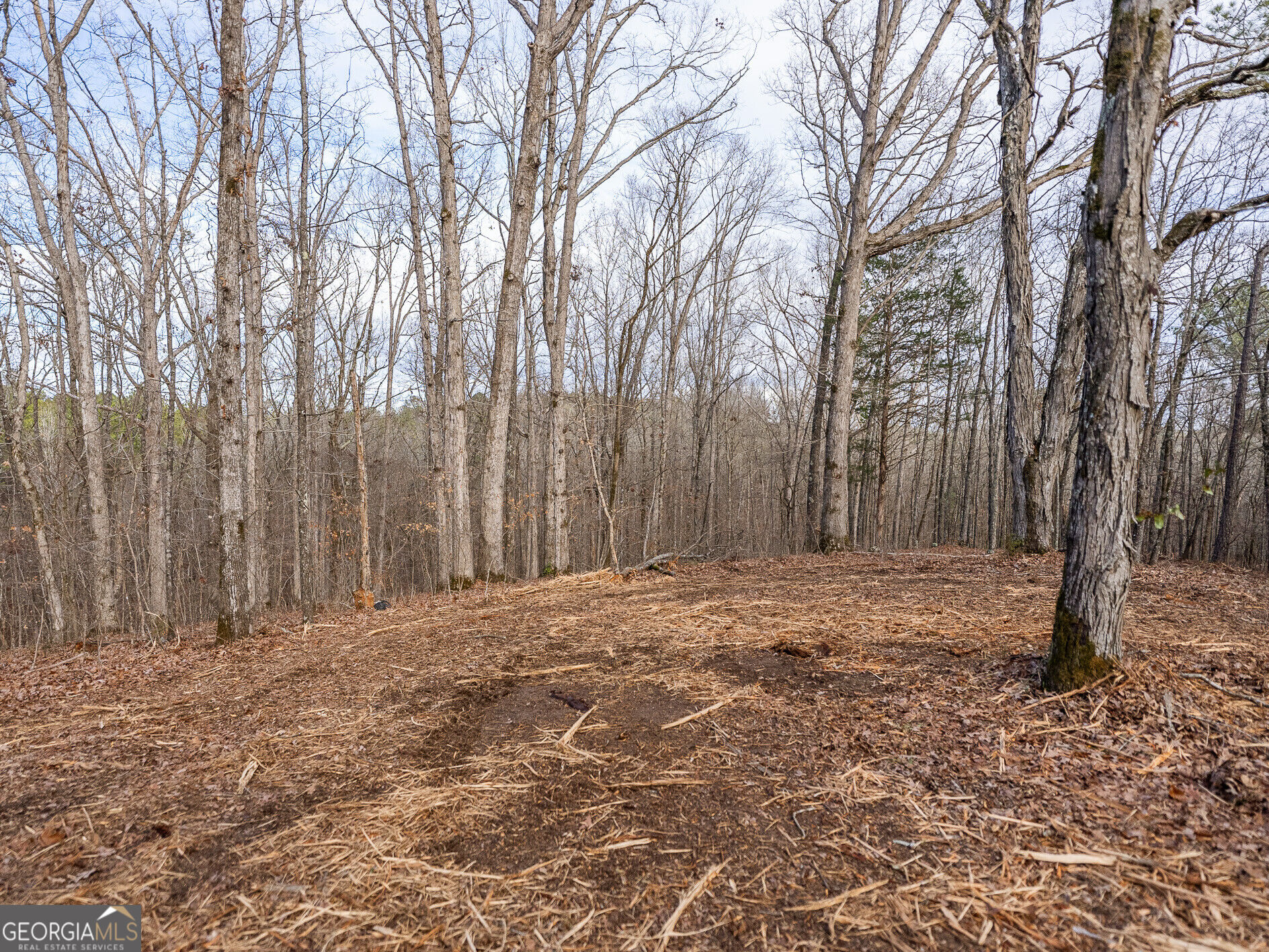 Tract 2 Dennis Creek Road Talbotton GA 31827