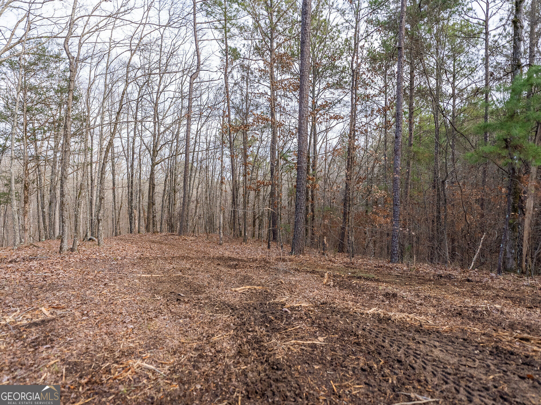 Tract 2 Dennis Creek Road Talbotton GA 31827