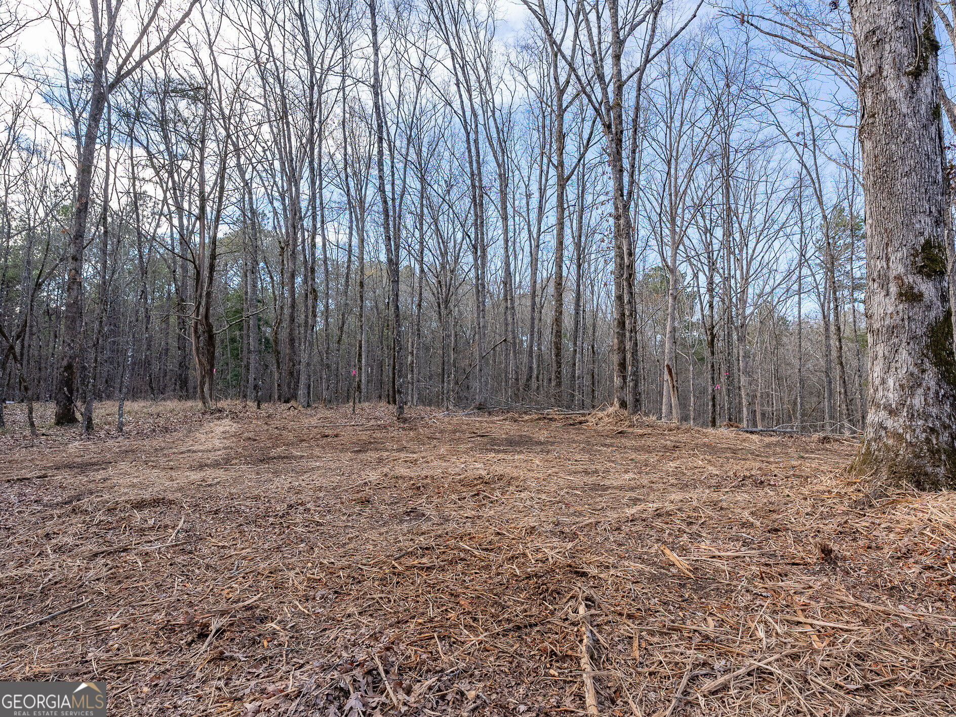 Tract 2 Dennis Creek Road Talbotton GA 31827