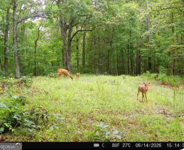 Tract 2 Dennis Creek Road Talbotton GA 31827