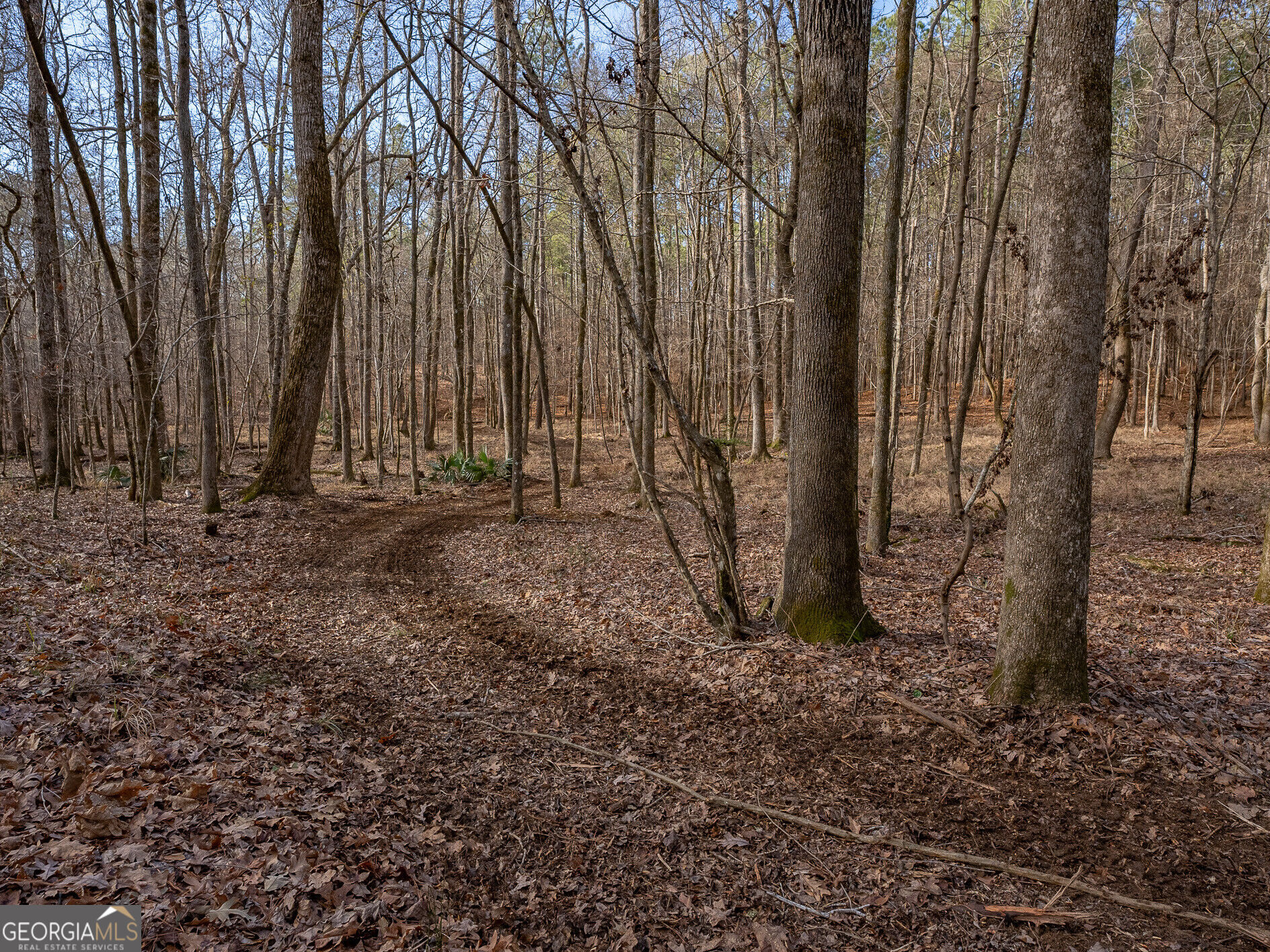 Tract 2 Dennis Creek Road Talbotton GA 31827
