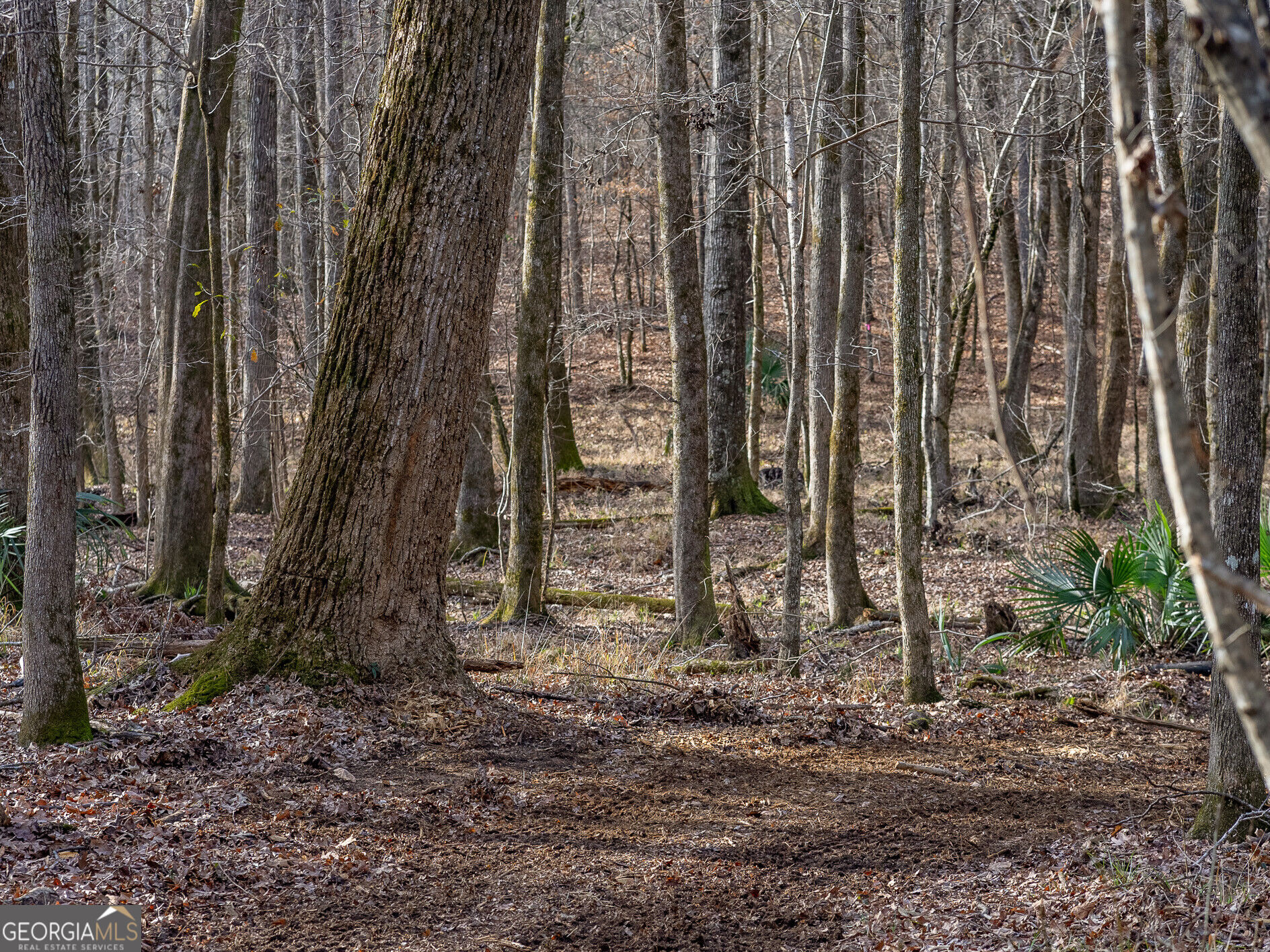 Tract 2 Dennis Creek Road Talbotton GA 31827