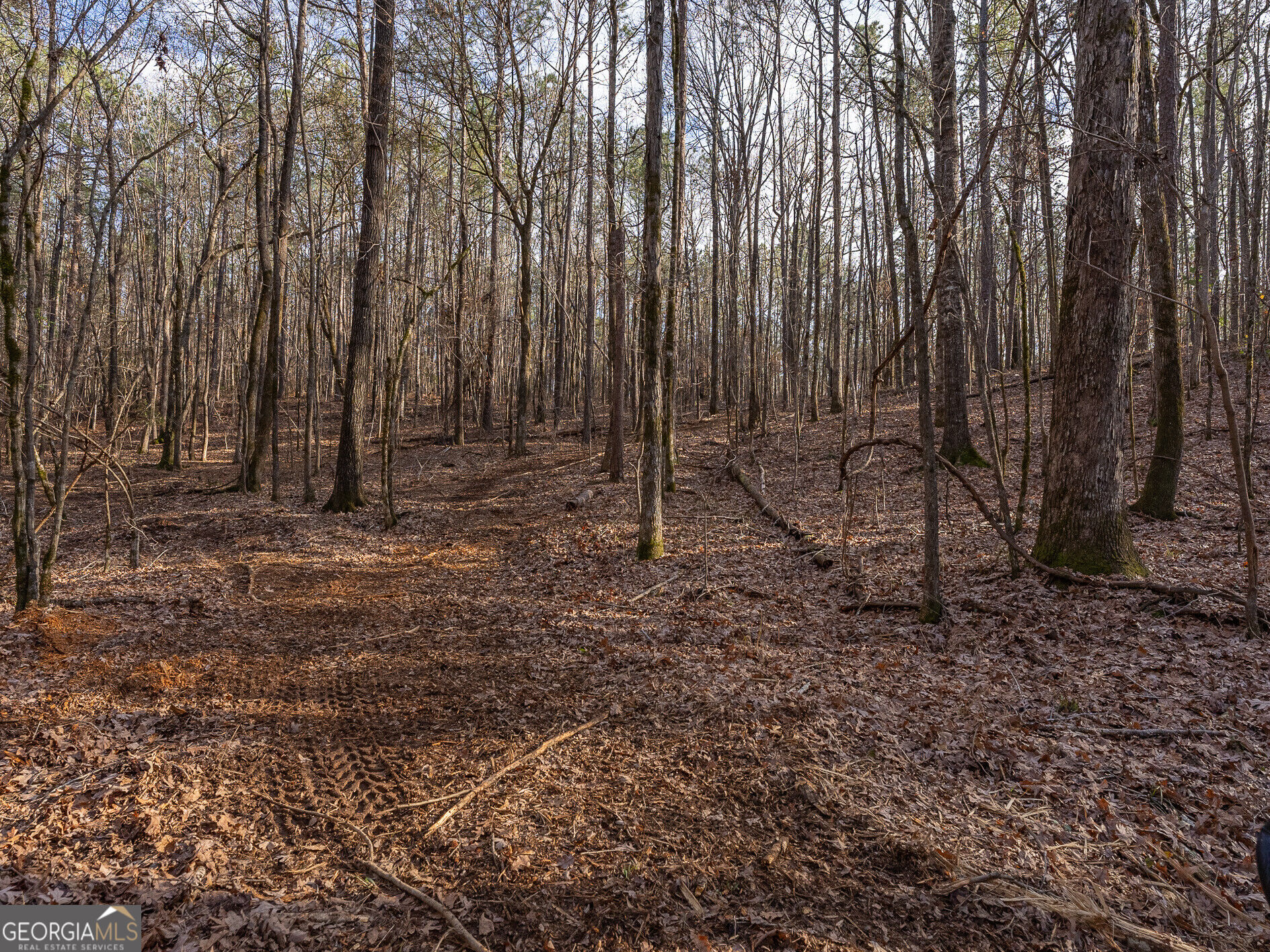 Tract 2 Dennis Creek Road Talbotton GA 31827
