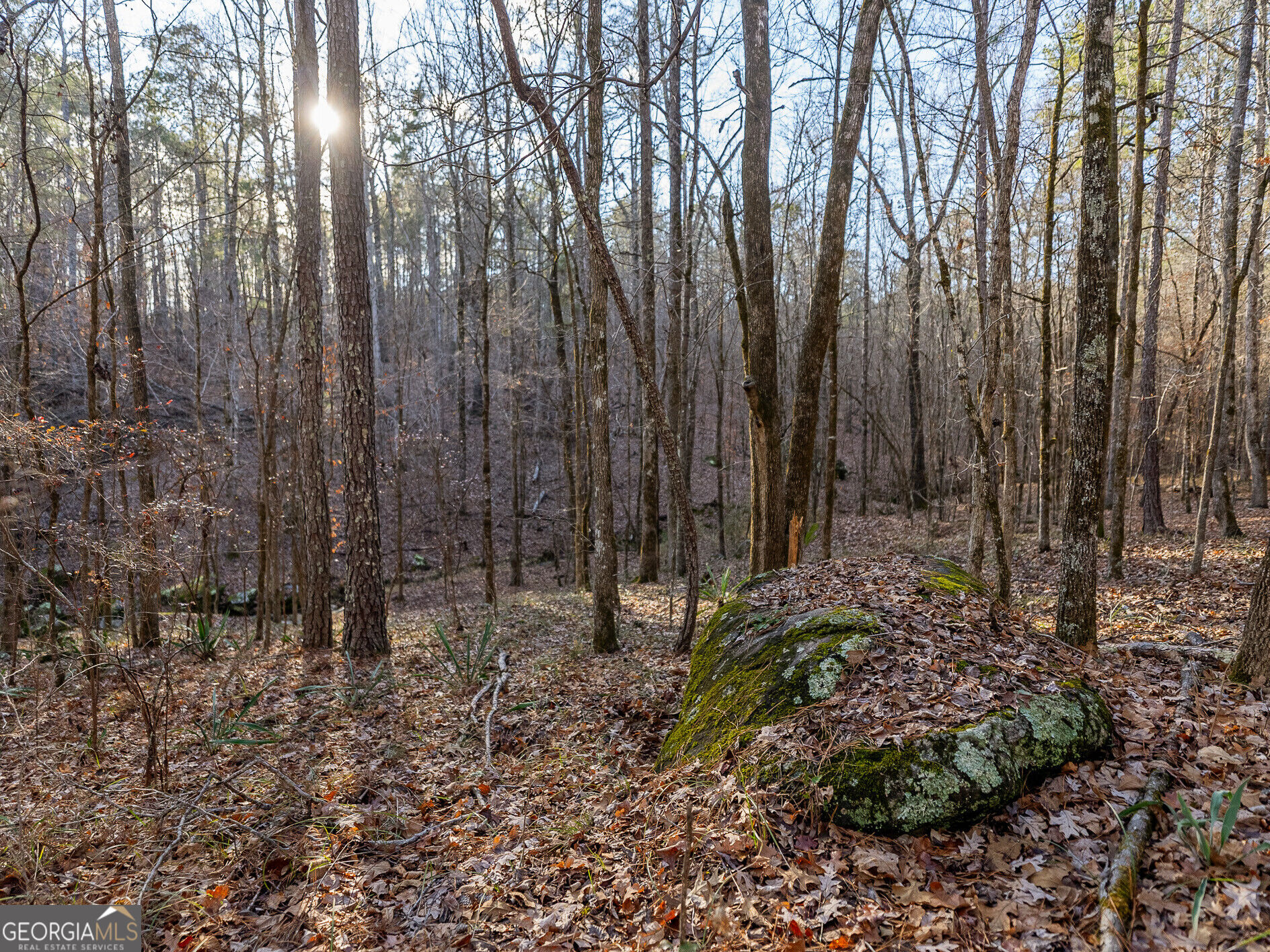 Tract 2 Dennis Creek Road Talbotton GA 31827