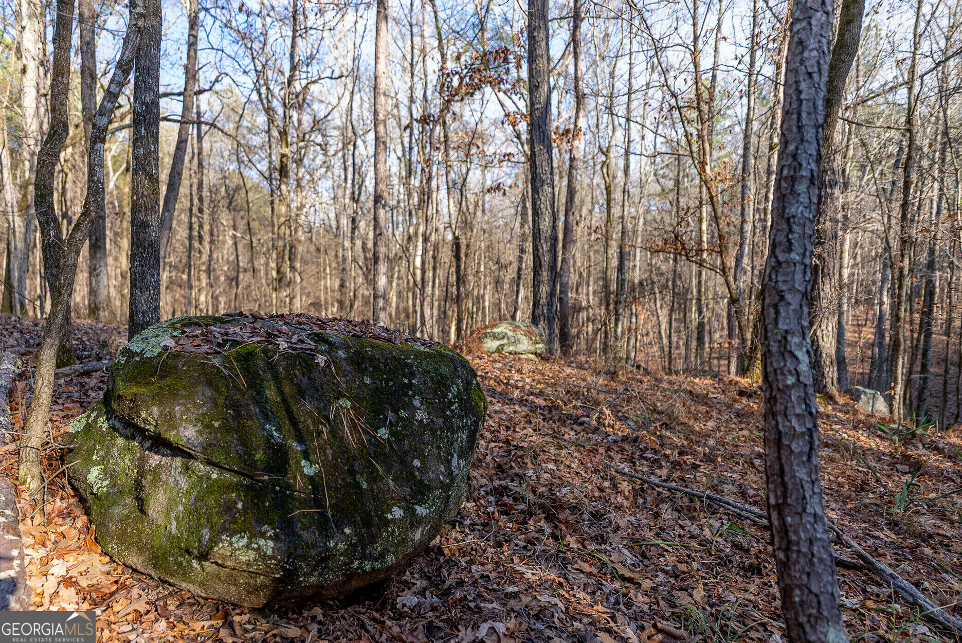 Tract 2 Dennis Creek Road Talbotton GA 31827