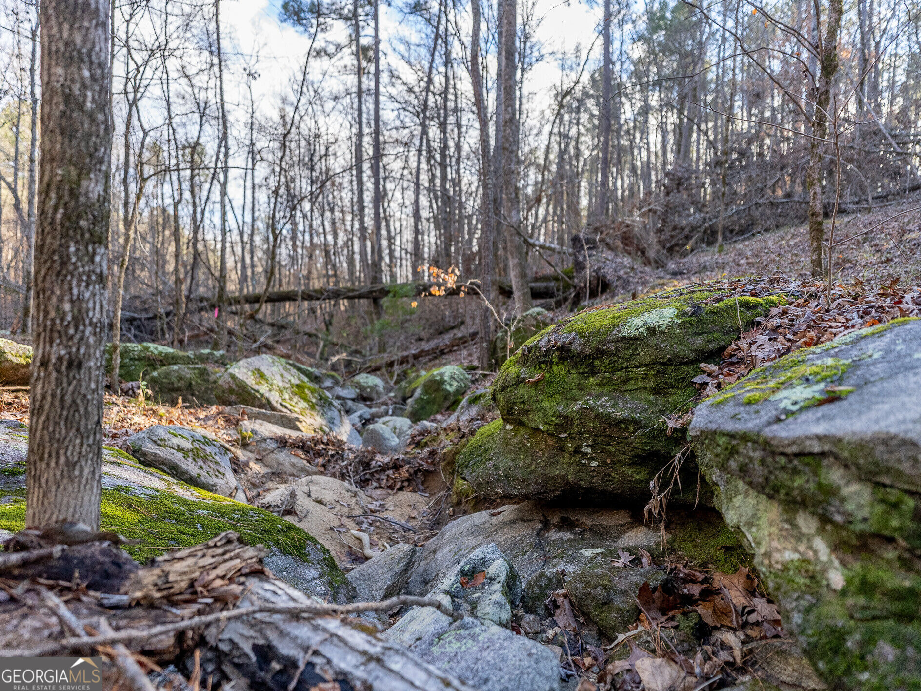 Tract 2 Dennis Creek Road Talbotton GA 31827