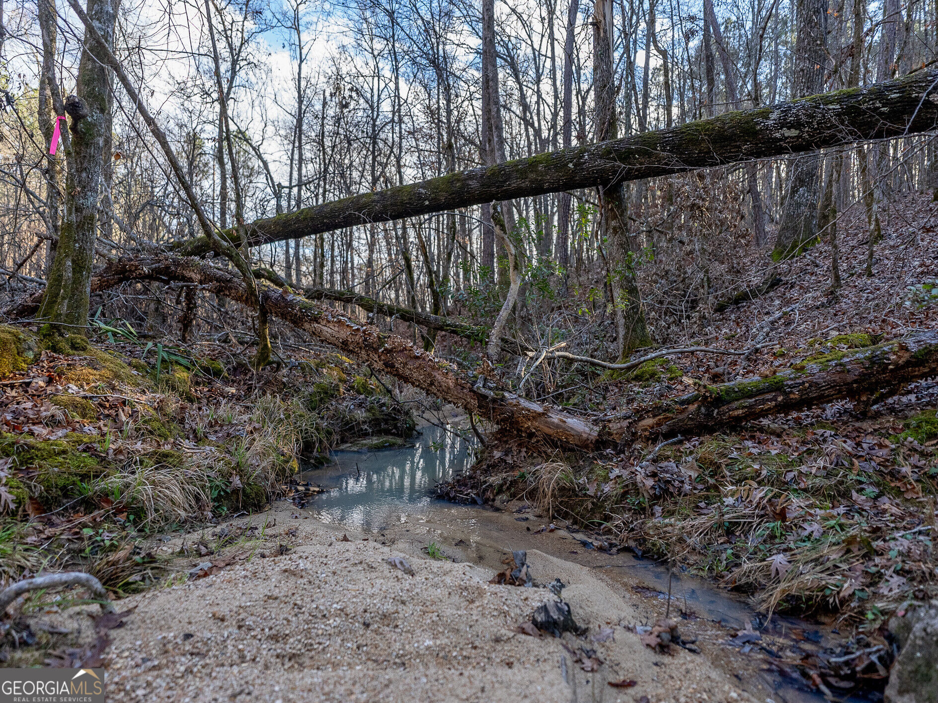 Tract 2 Dennis Creek Road Talbotton GA 31827