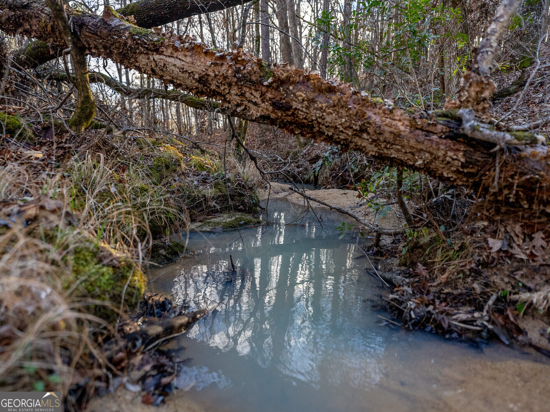 Tract 2 Dennis Creek Road Talbotton GA 31827