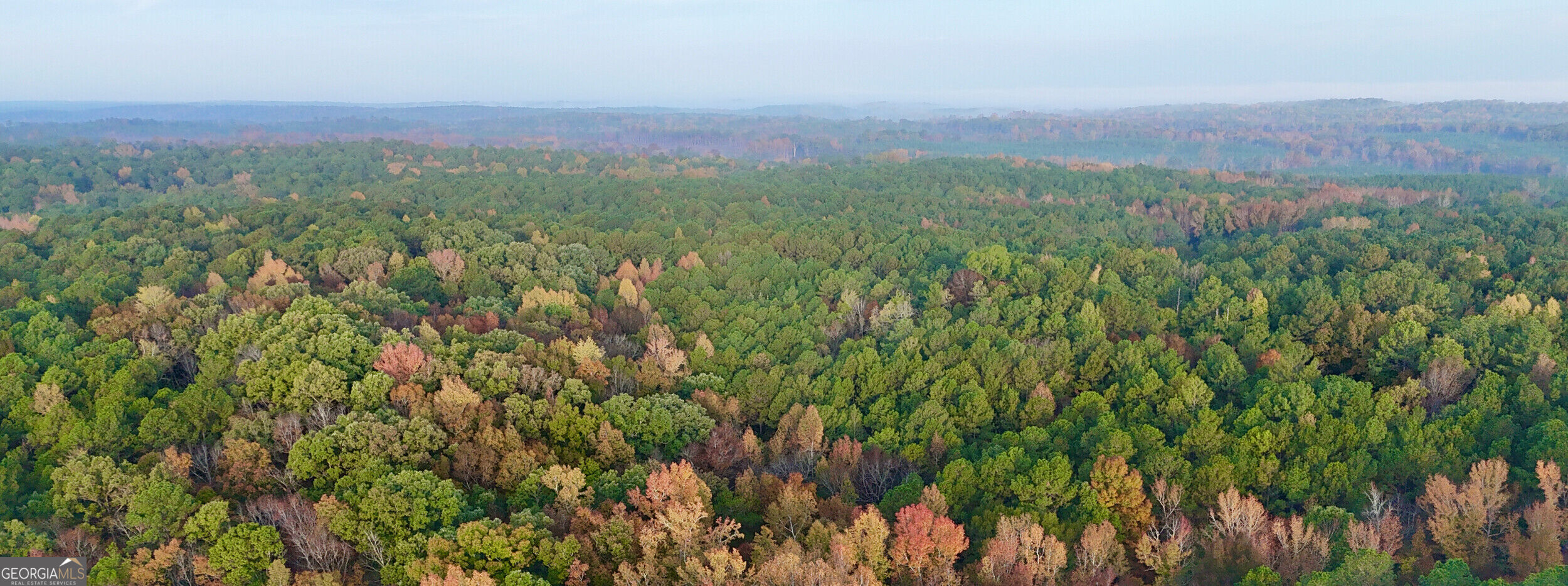 Tract 2 Dennis Creek Road Talbotton GA 31827